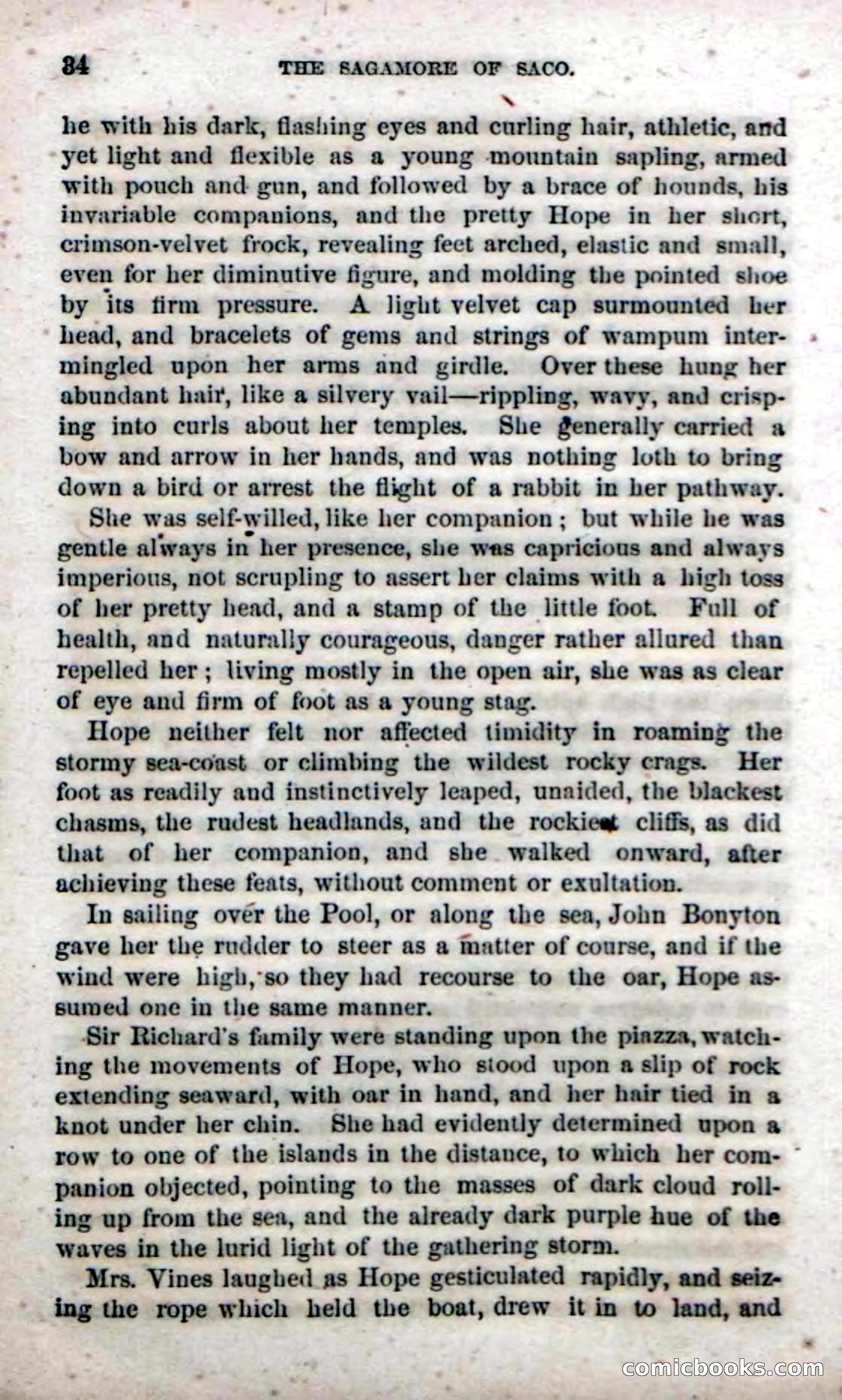 Beadle's Dime Novels No. 142: The Sagamore of Saco — page 32 of 116