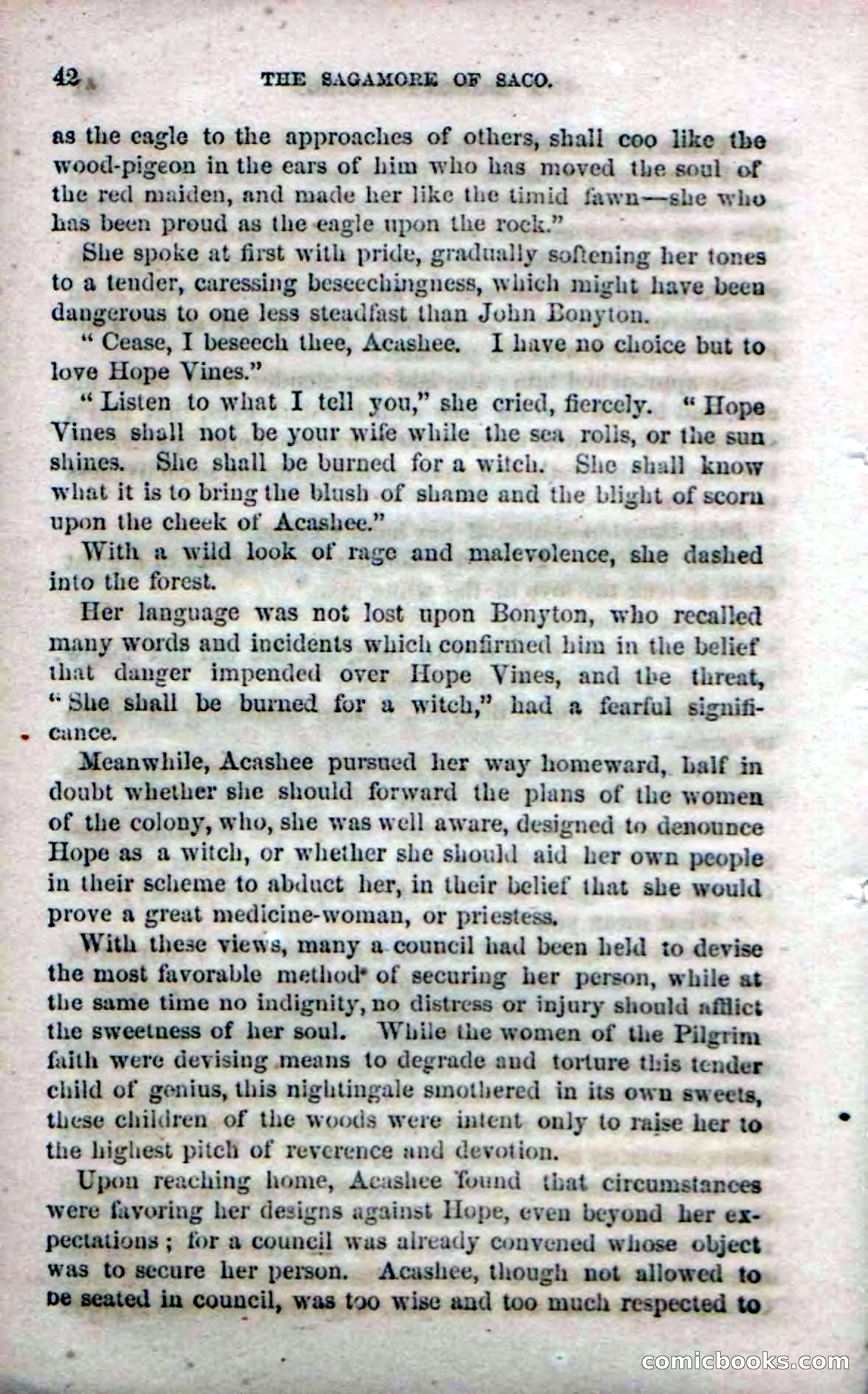 Beadle's Dime Novels No. 142: The Sagamore of Saco — page 40 of 116