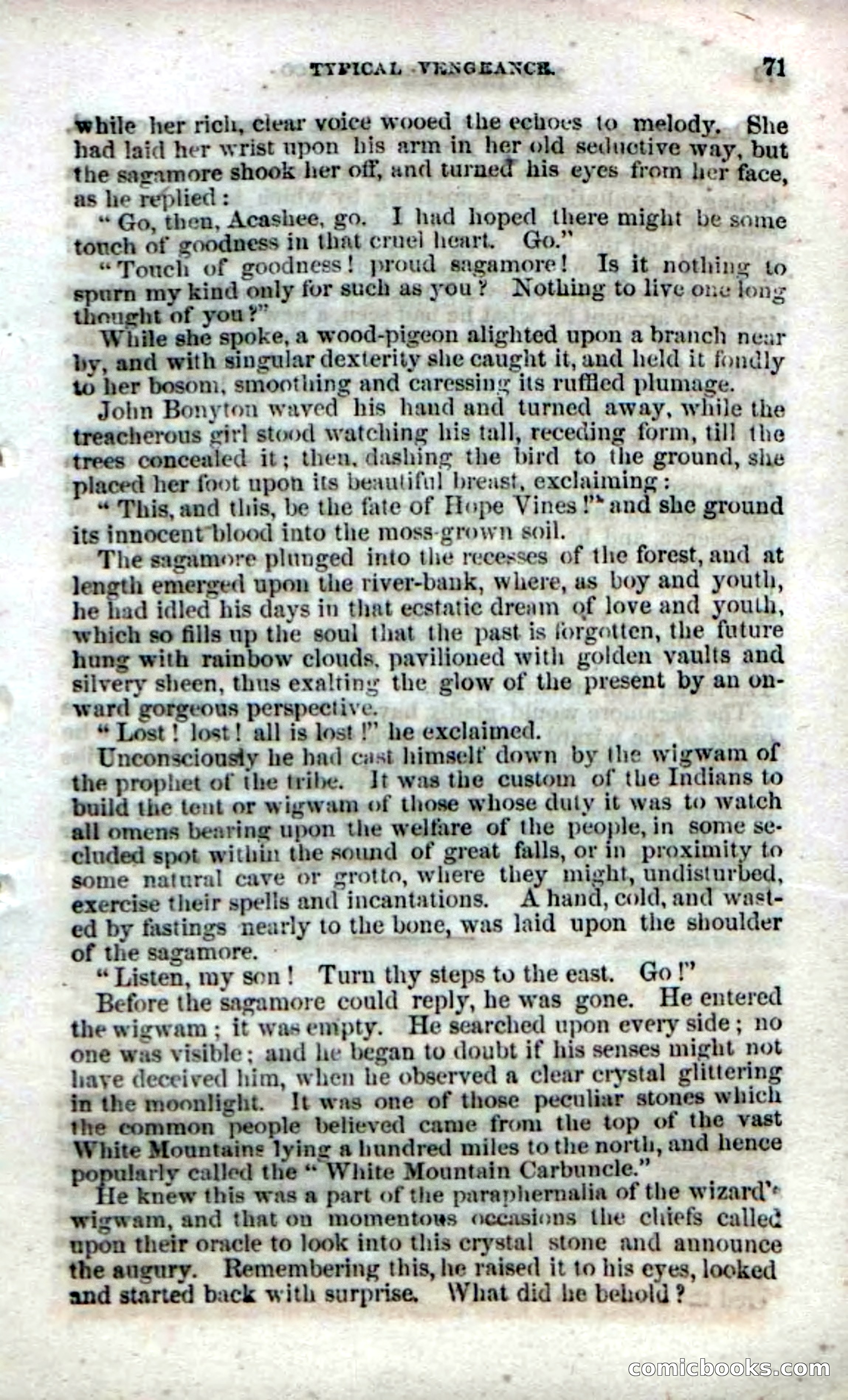 Beadle's Dime Novels No. 142: The Sagamore of Saco — page 69 of 116