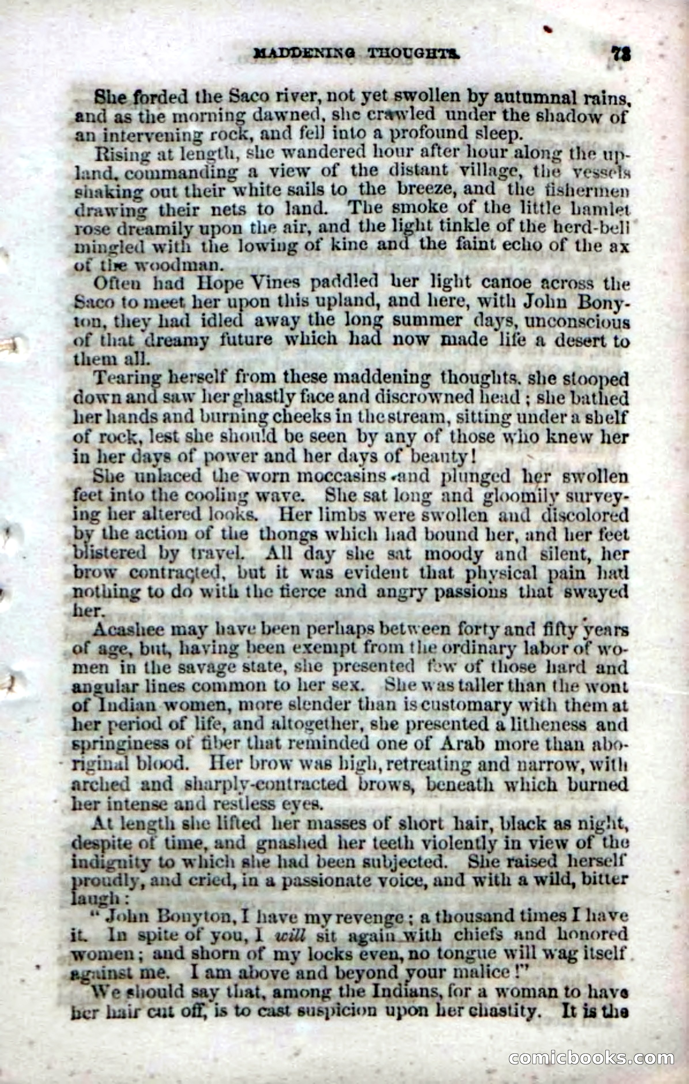 Beadle's Dime Novels No. 142: The Sagamore of Saco — page 71 of 116