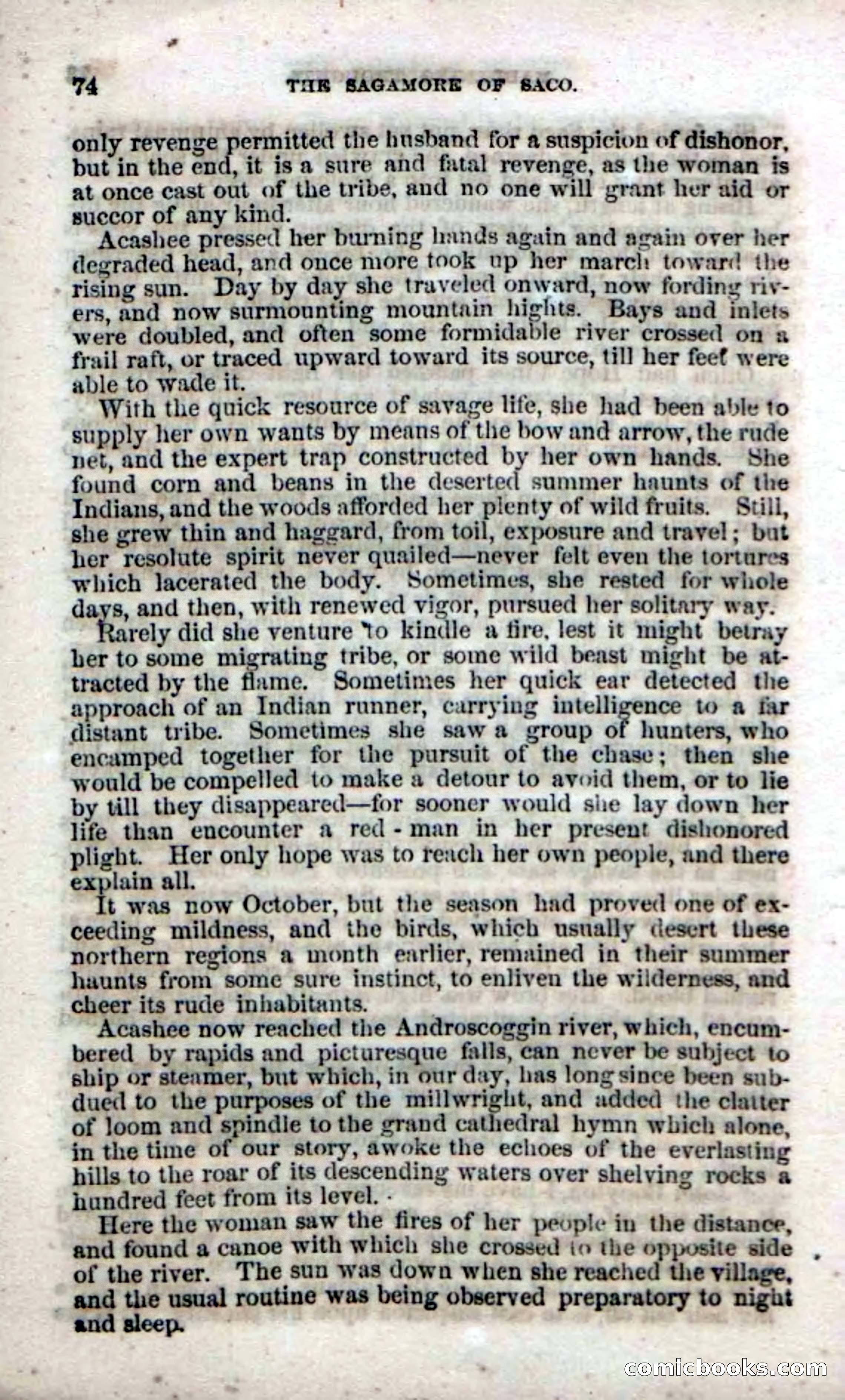 Beadle's Dime Novels No. 142: The Sagamore of Saco — page 72 of 116