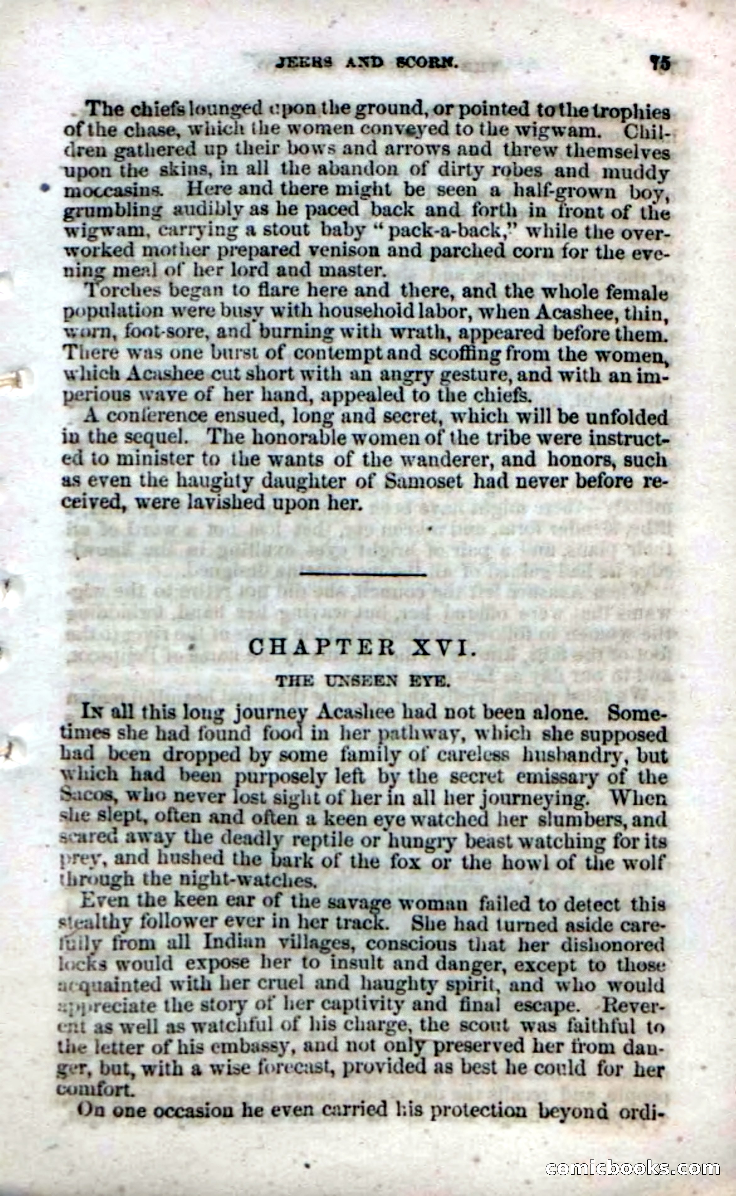 Beadle's Dime Novels No. 142: The Sagamore of Saco — page 73 of 116