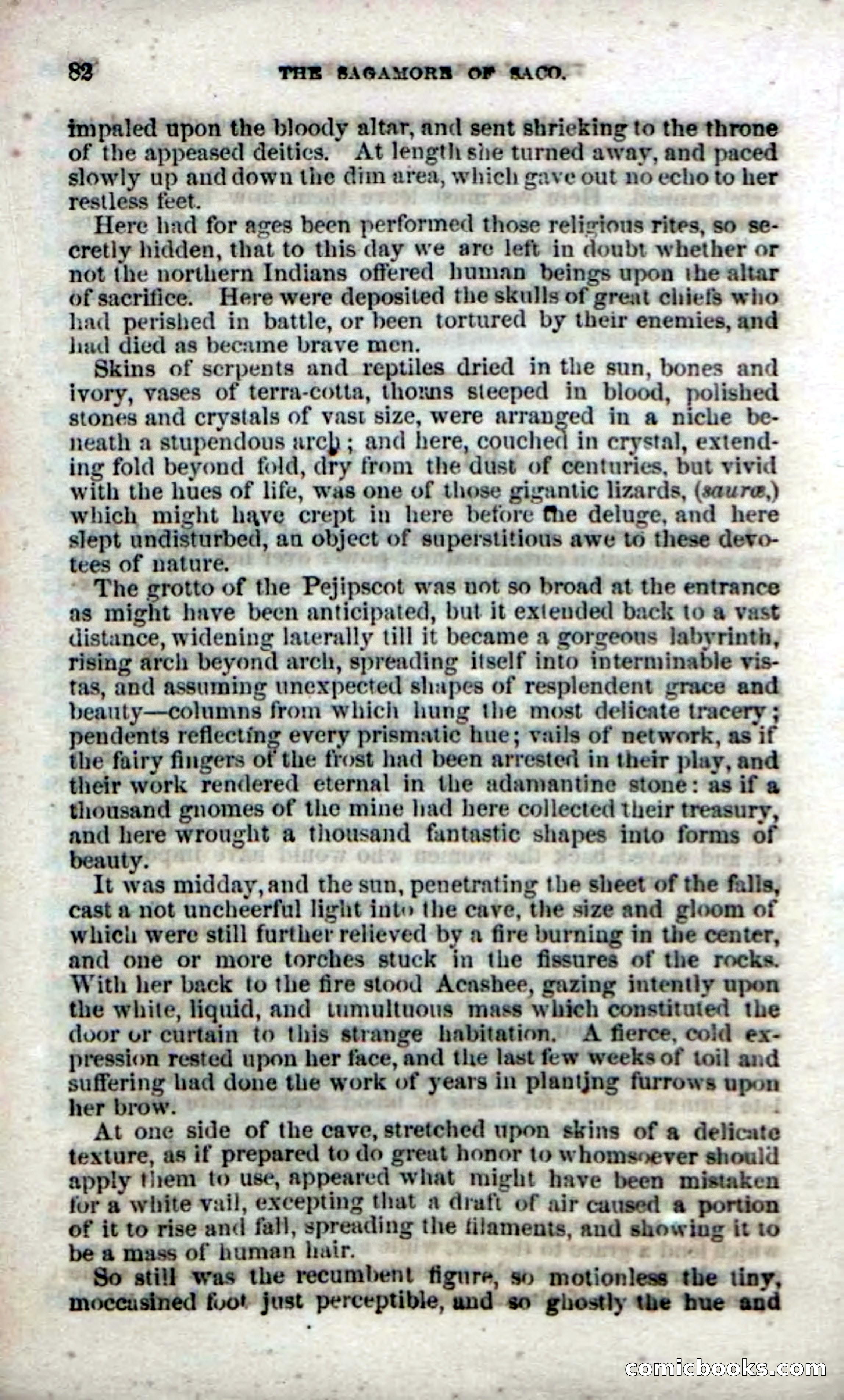 Beadle's Dime Novels No. 142: The Sagamore of Saco — page 80 of 116