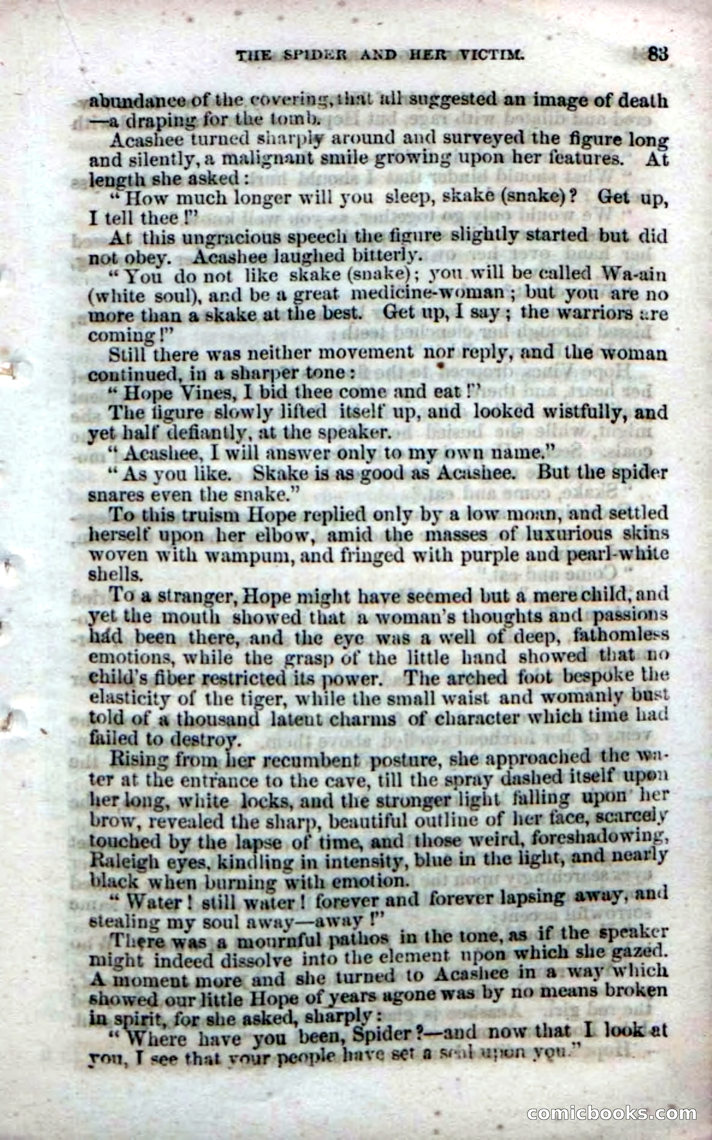 Beadle's Dime Novels No. 142: The Sagamore of Saco — page 81 of 116