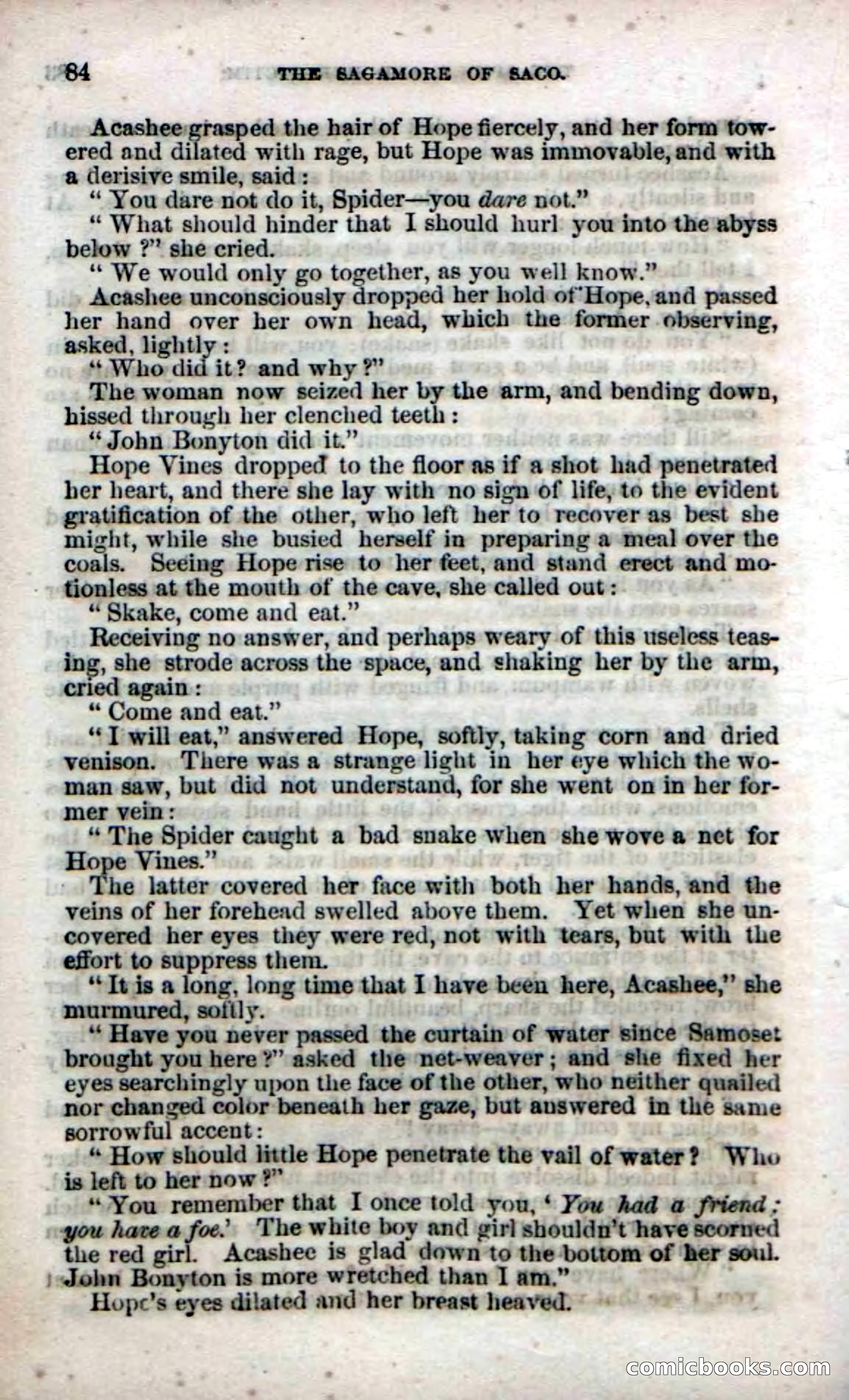 Beadle's Dime Novels No. 142: The Sagamore of Saco — page 82 of 116
