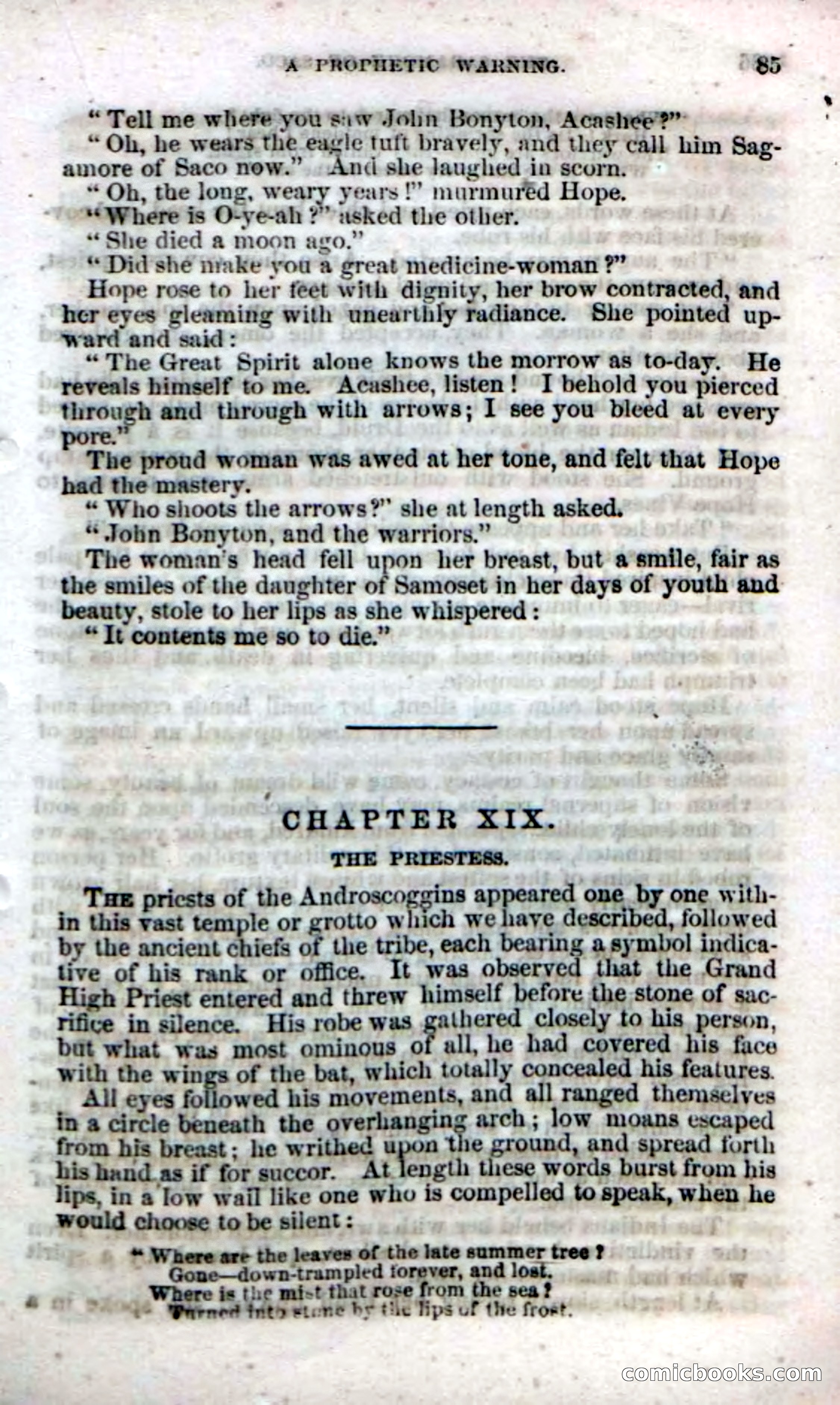 Beadle's Dime Novels No. 142: The Sagamore of Saco — page 83 of 116