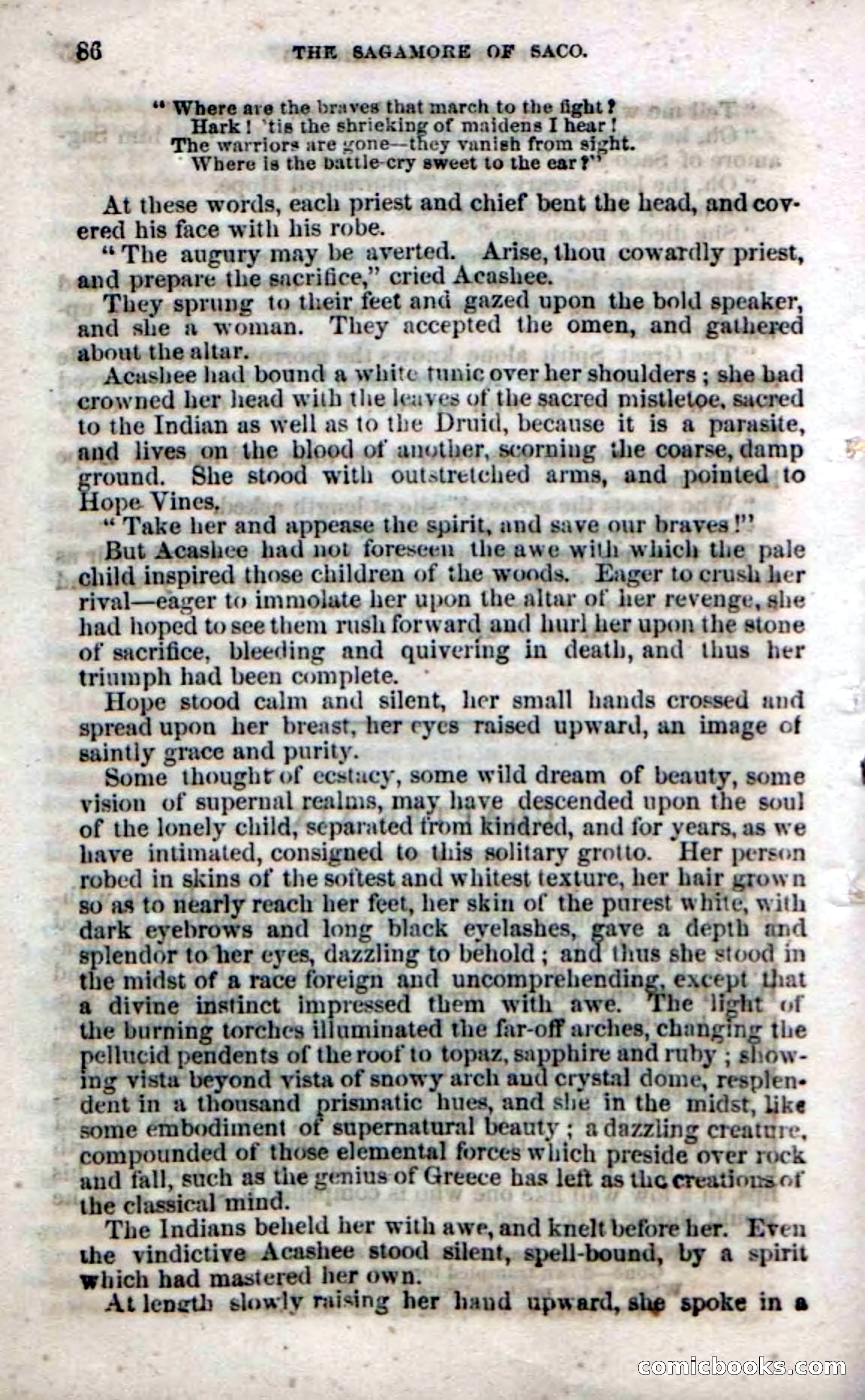 Beadle's Dime Novels No. 142: The Sagamore of Saco — page 84 of 116