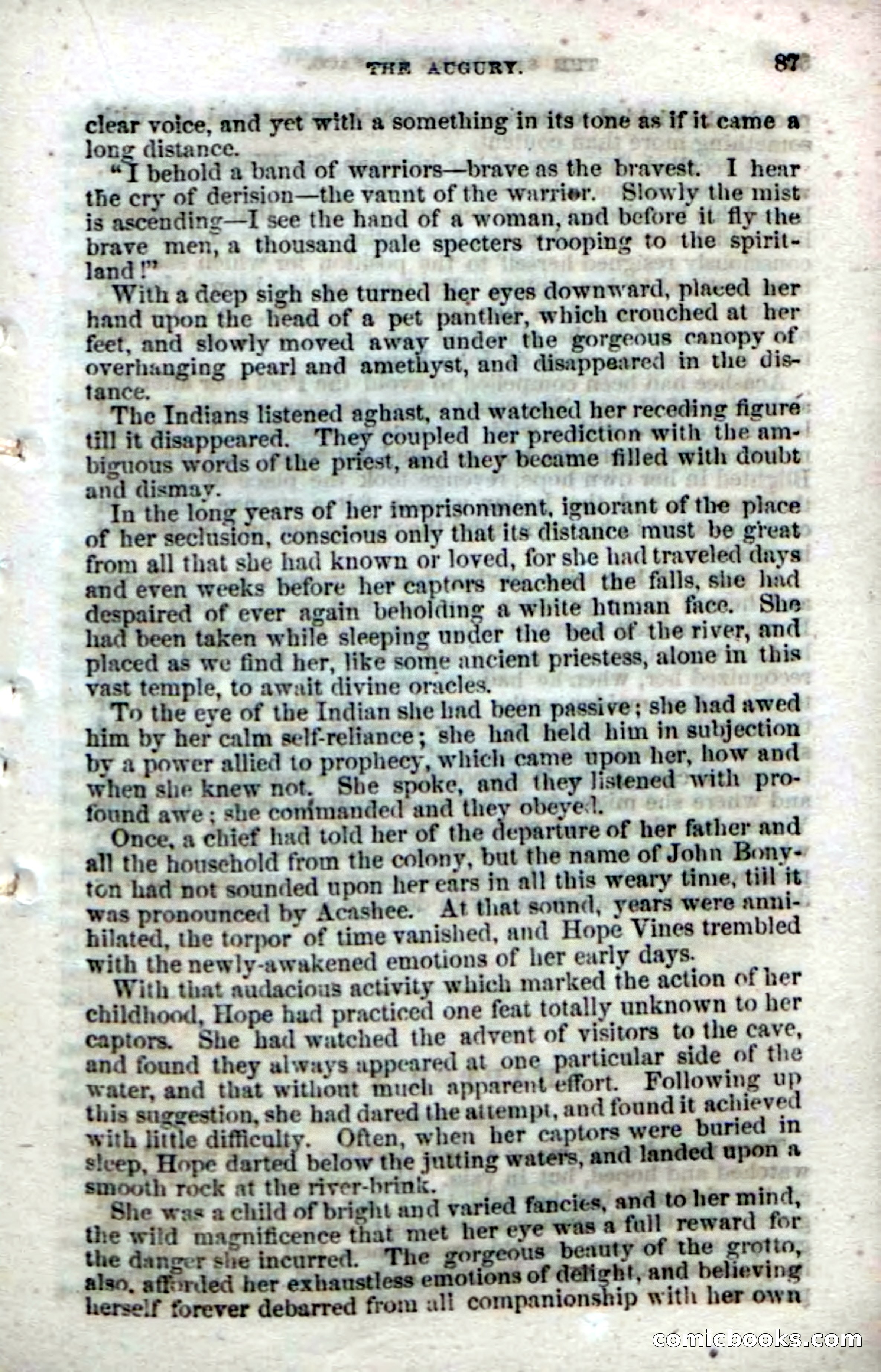 Beadle's Dime Novels No. 142: The Sagamore of Saco — page 85 of 116