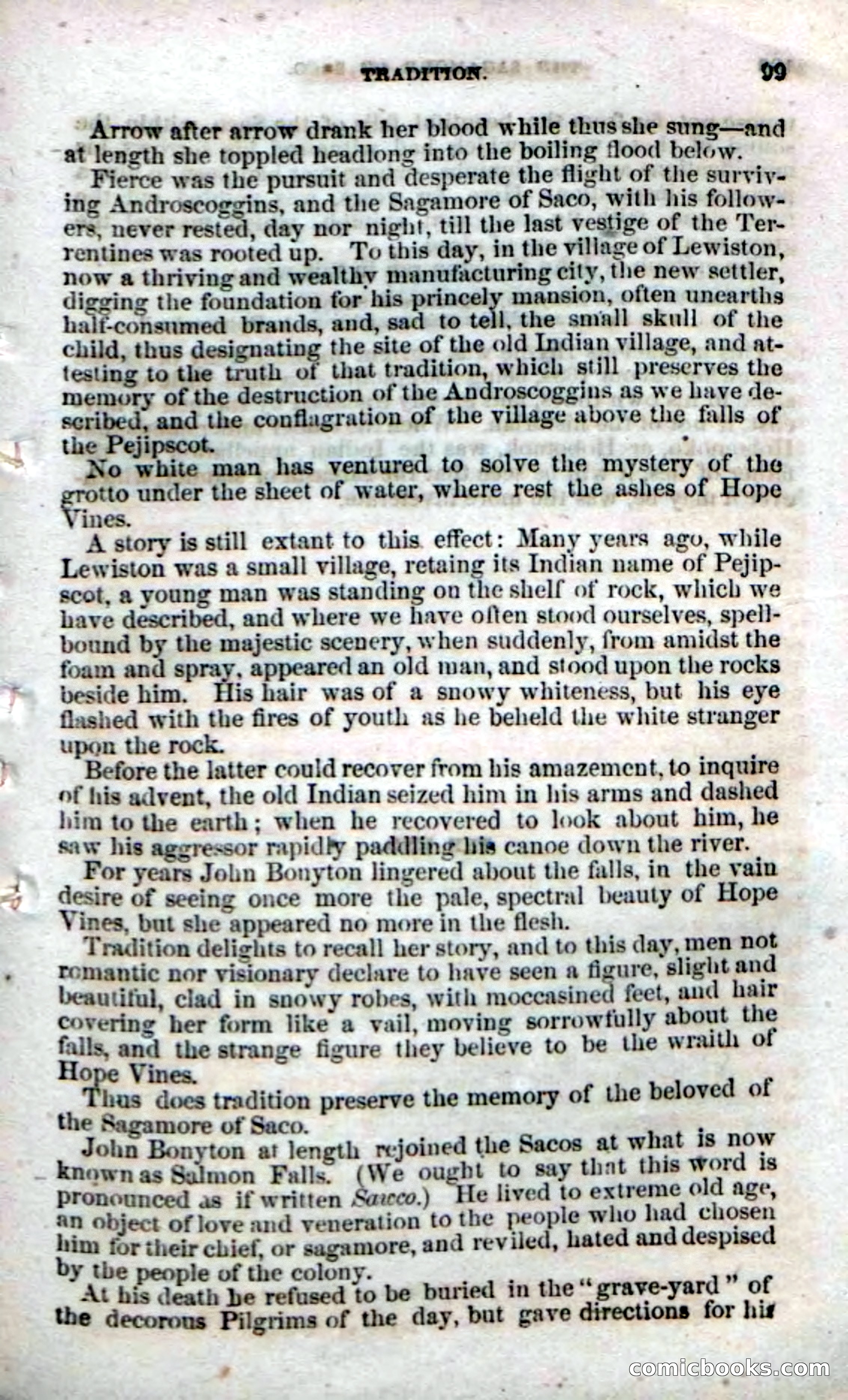Beadle's Dime Novels No. 142: The Sagamore of Saco — page 97 of 116
