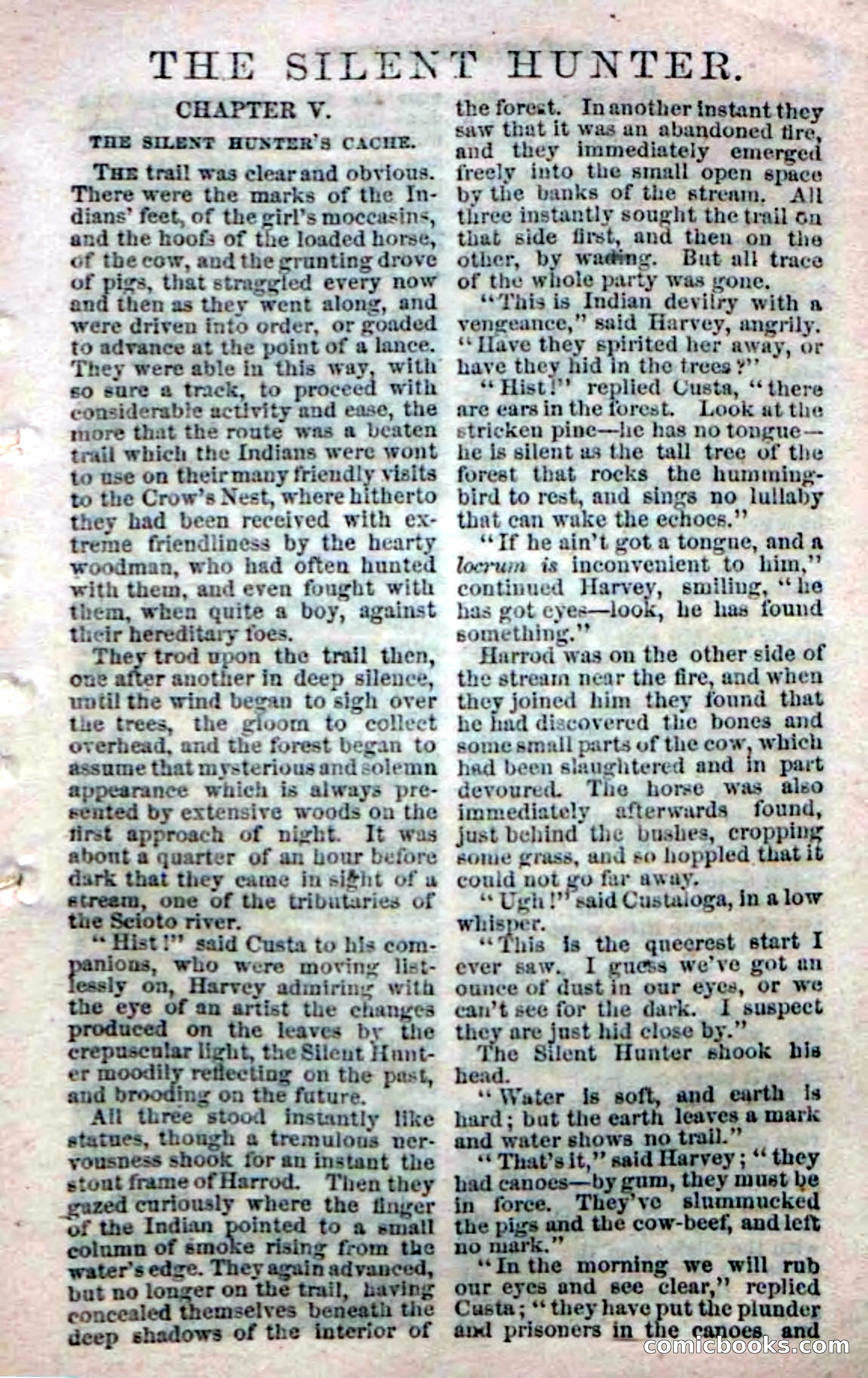 Beadle's Dime Novels No. 142: The Sagamore of Saco — page 101 of 116