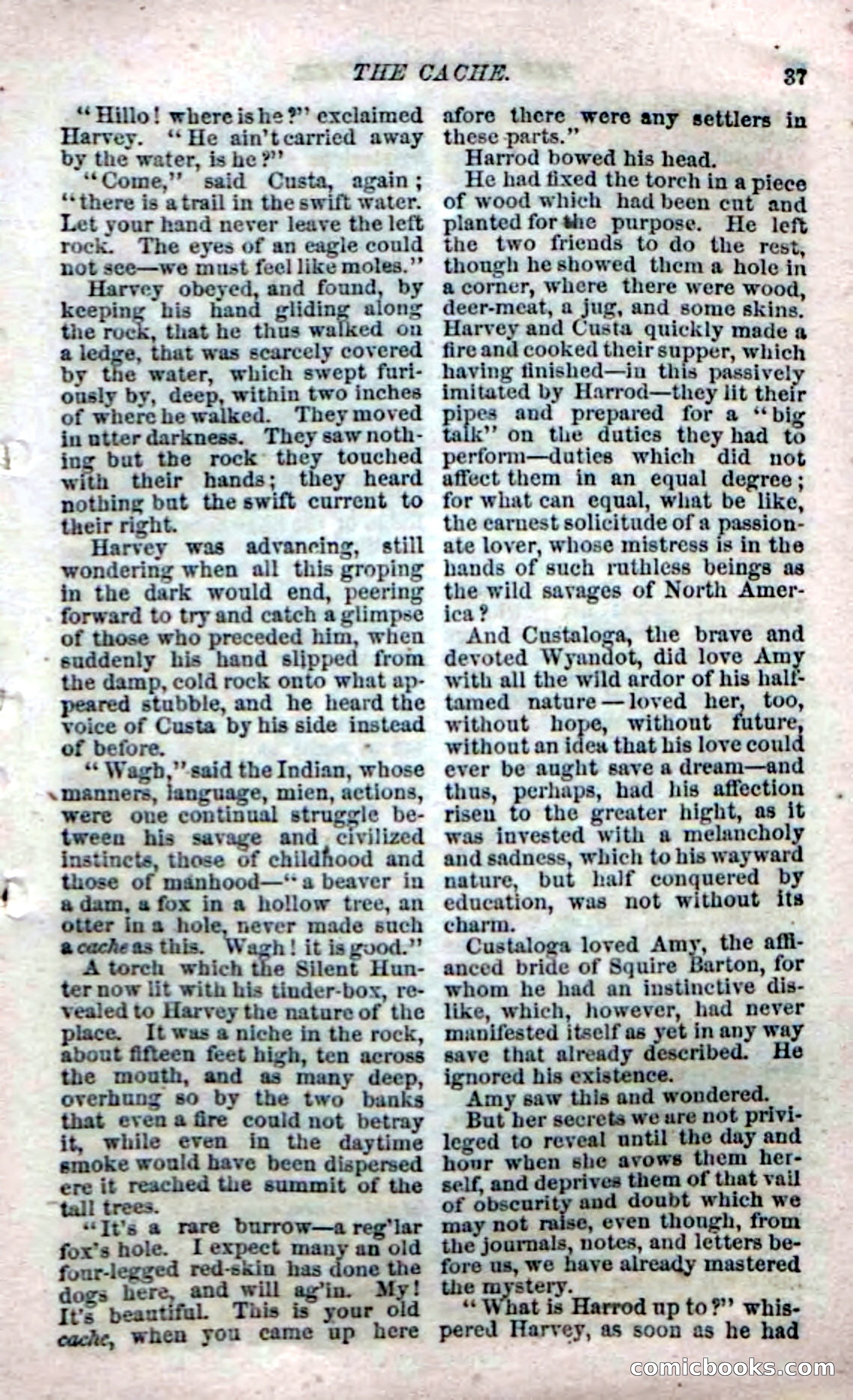 Beadle's Dime Novels No. 142: The Sagamore of Saco — page 103 of 116