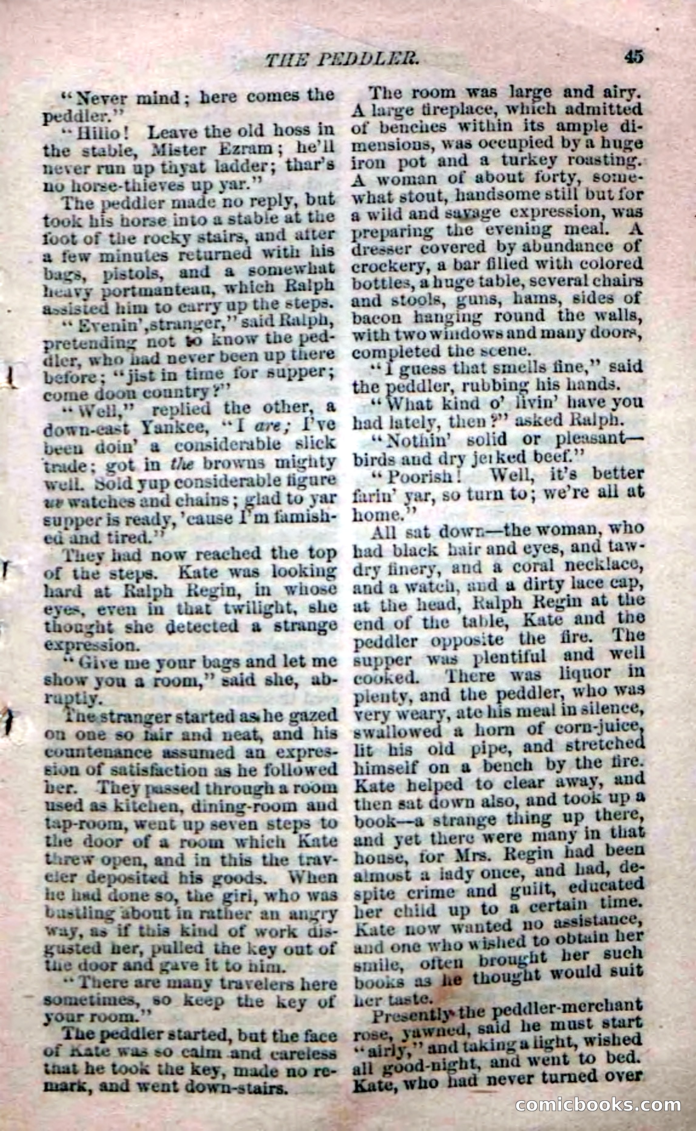 Beadle's Dime Novels No. 142: The Sagamore of Saco — page 111 of 116