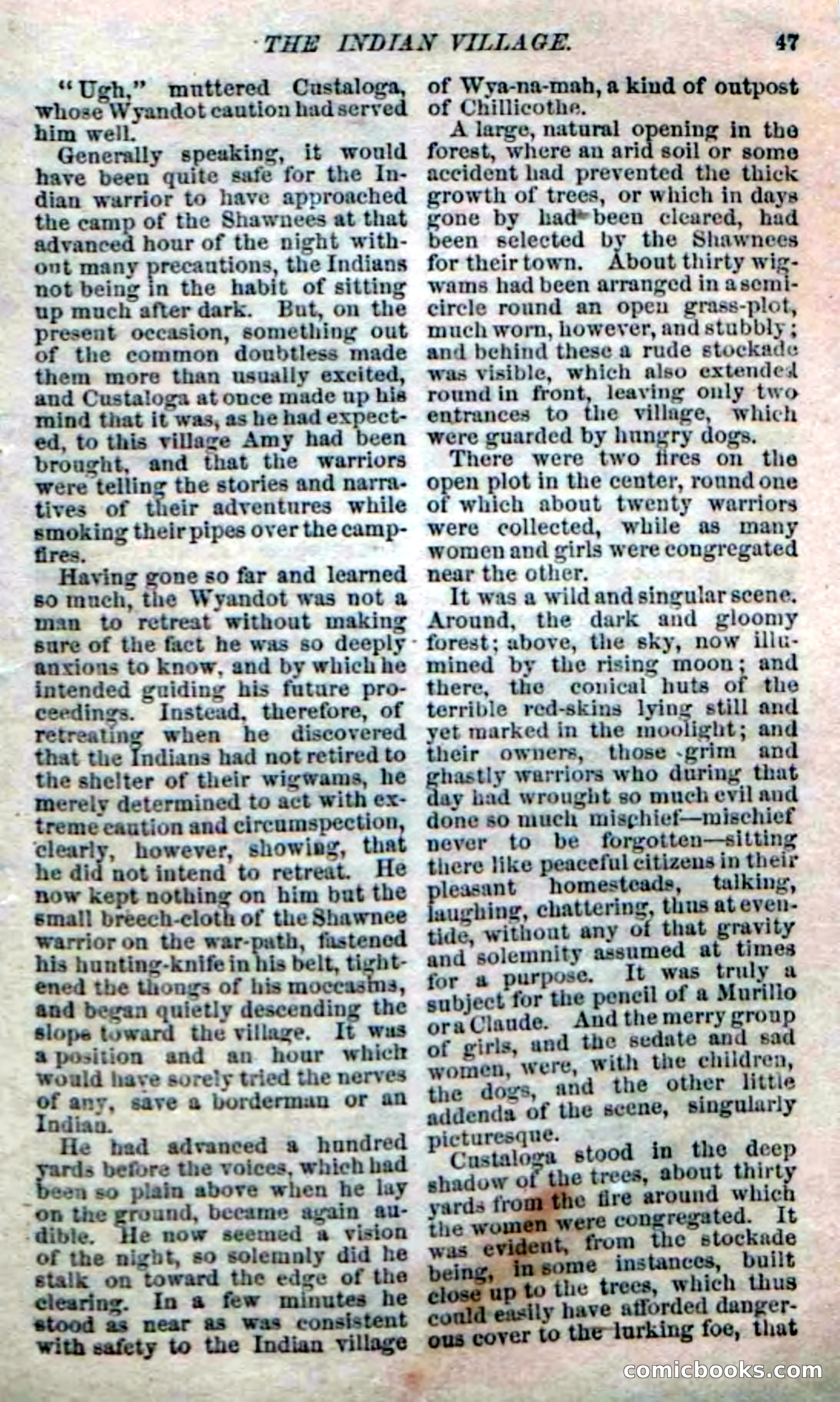 Beadle's Dime Novels No. 142: The Sagamore of Saco — page 113 of 116