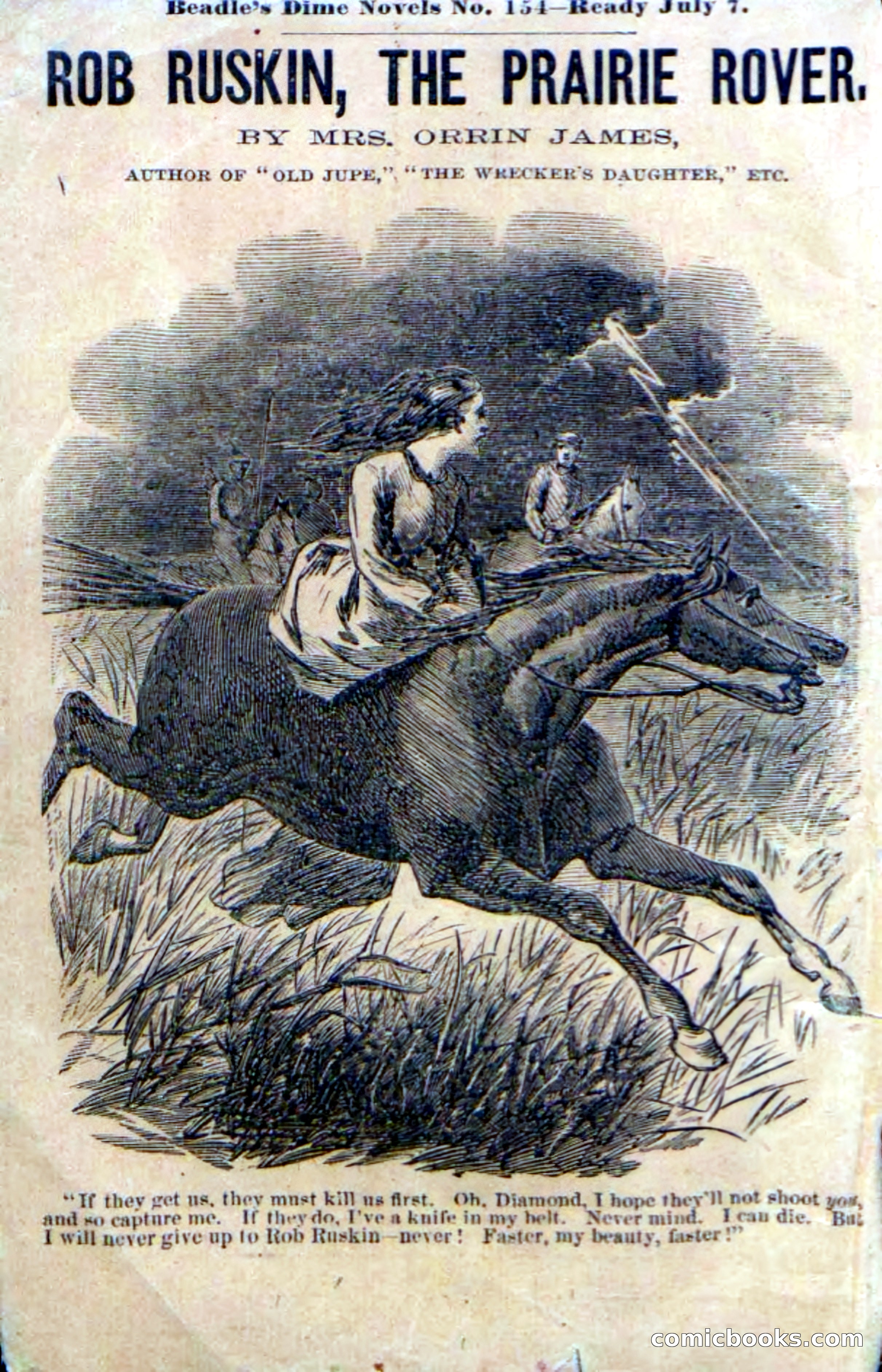 Beadle's Dime Novels No. 153: Mohawk Nat — page 2 of 116