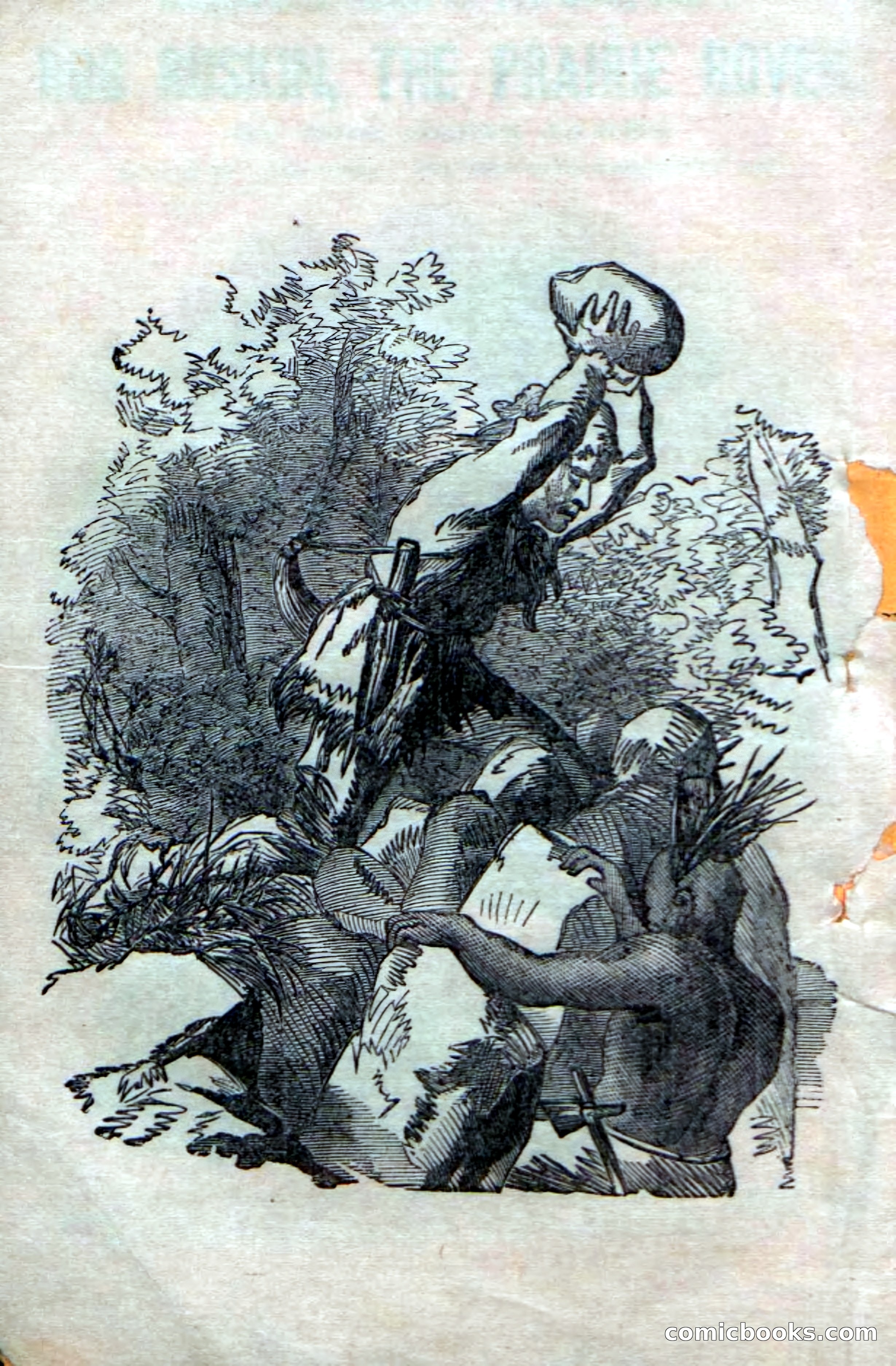 Beadle's Dime Novels No. 153: Mohawk Nat — page 4 of 116