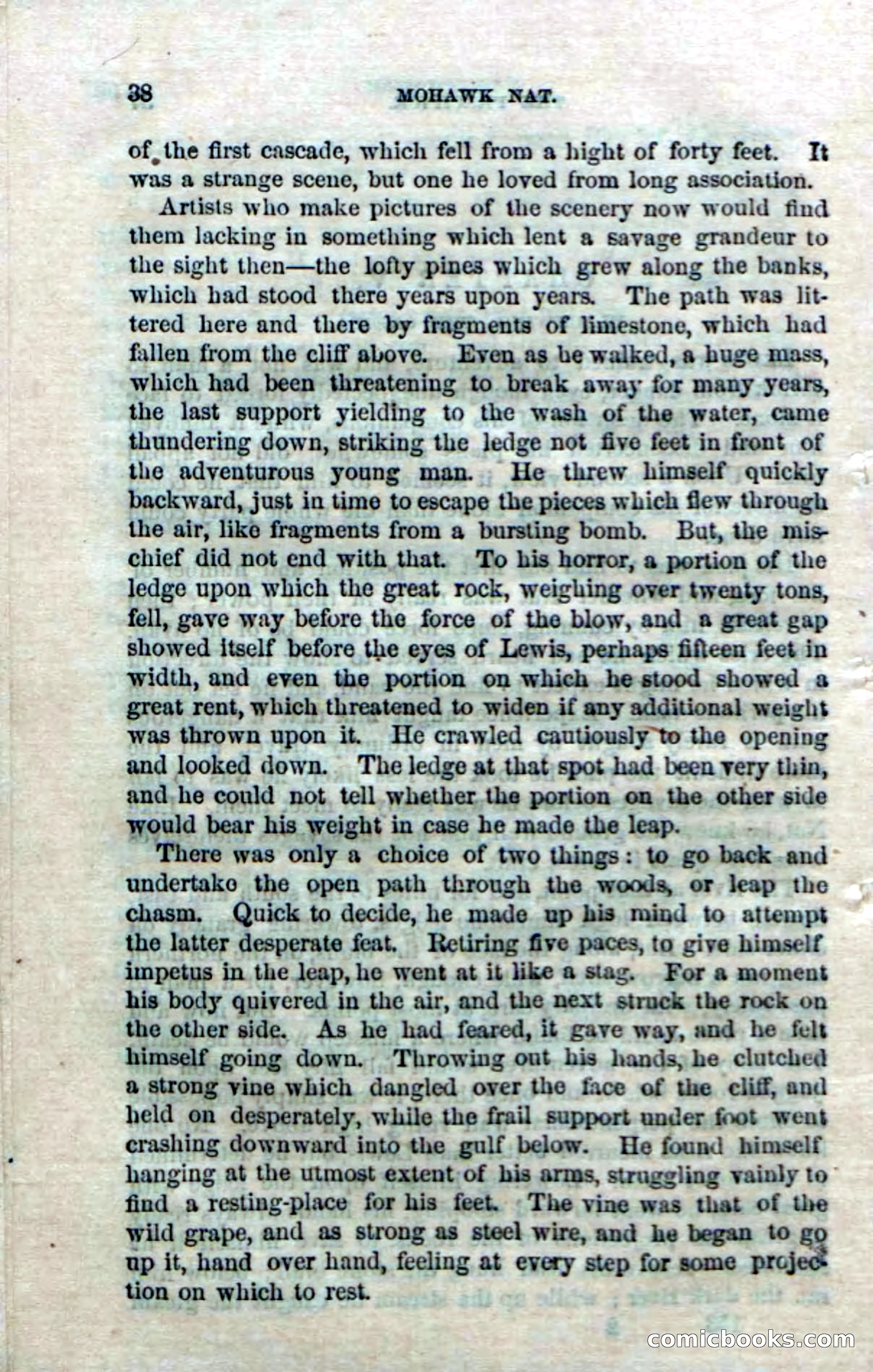 Beadle's Dime Novels No. 153: Mohawk Nat — page 36 of 116