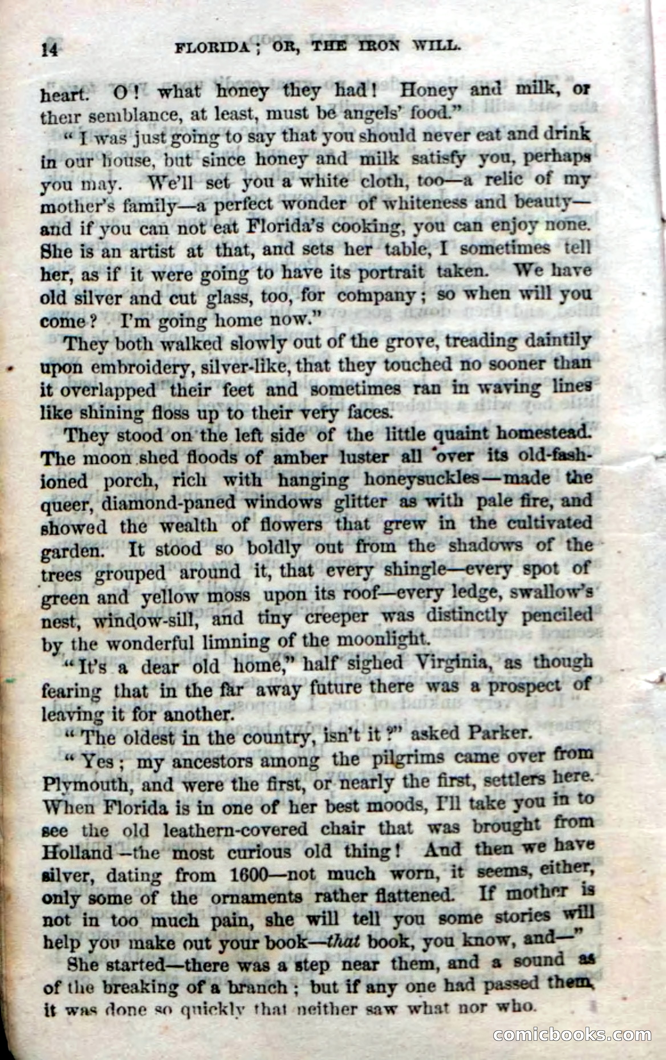 Beadle's Dime Novels No. 20: Florida; or, The Iron Will — page 16 of 130