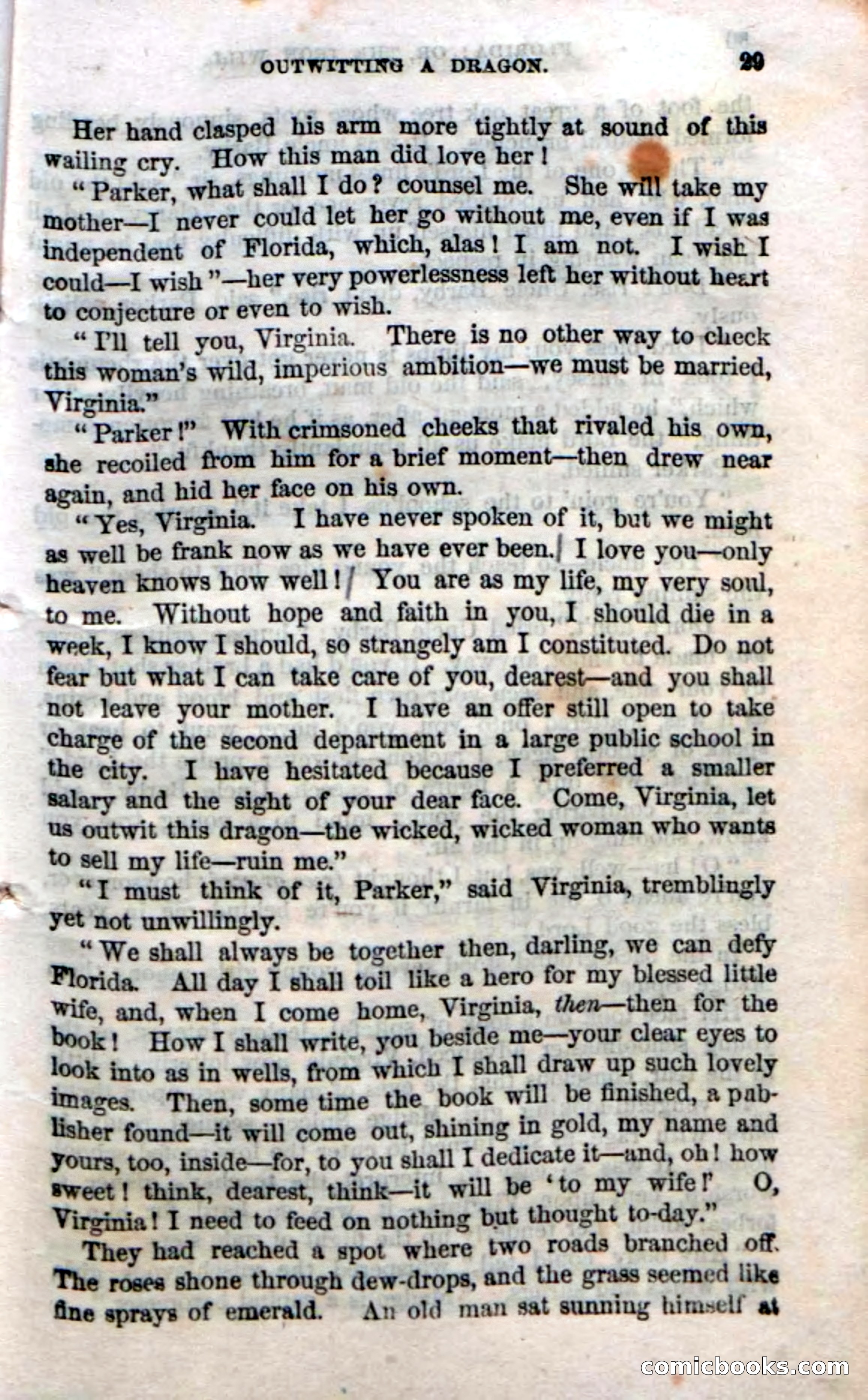Beadle's Dime Novels No. 20: Florida; or, The Iron Will — page 31 of 130