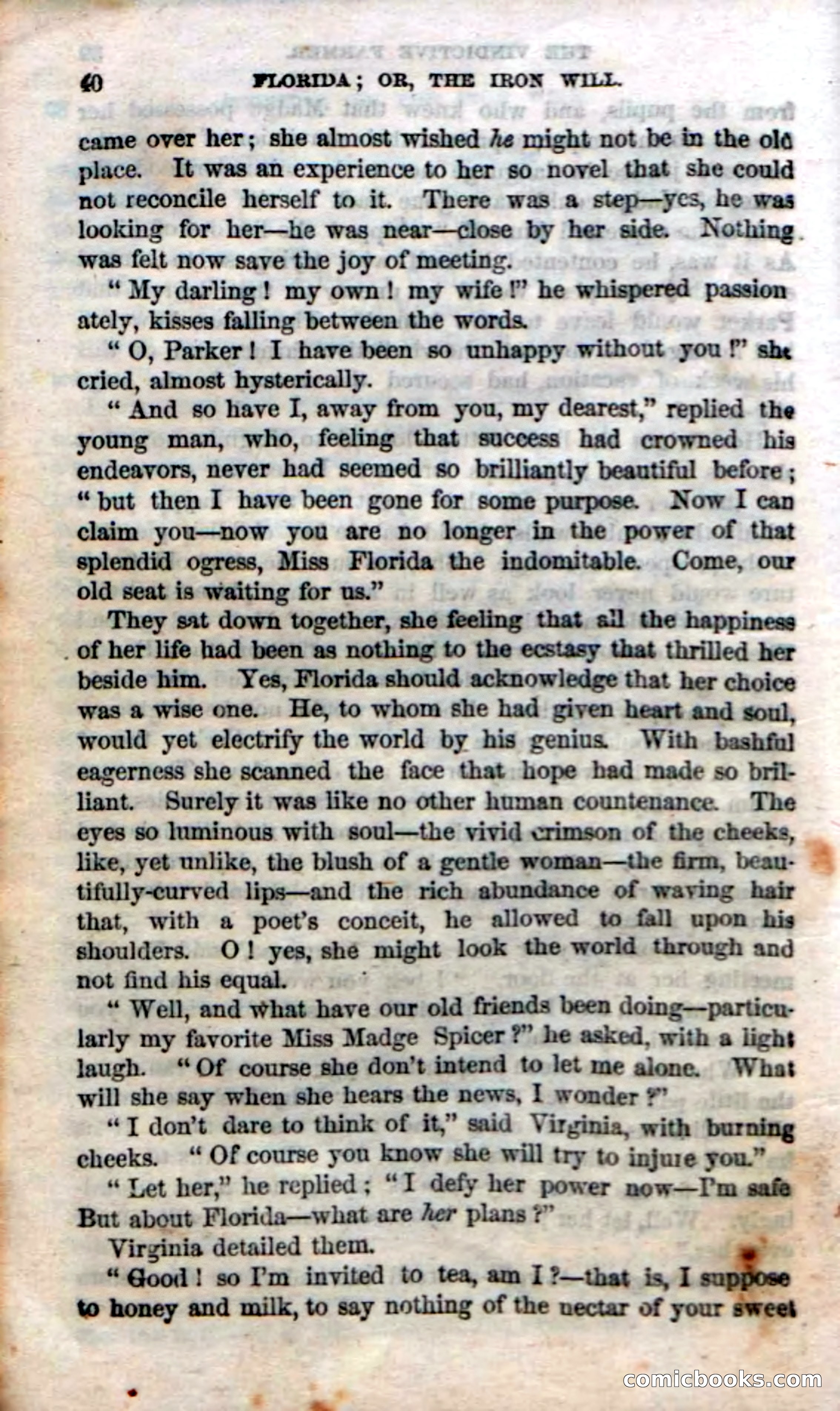 Beadle's Dime Novels No. 20: Florida; or, The Iron Will — page 42 of 130