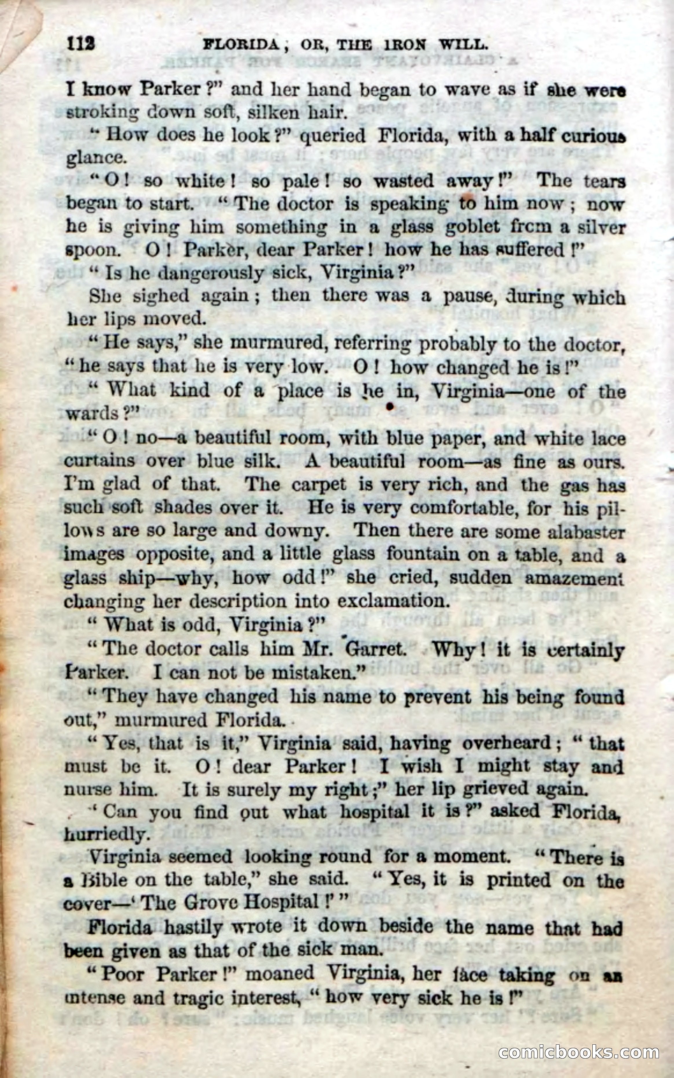 Beadle's Dime Novels No. 20: Florida; or, The Iron Will — page 114 of 130