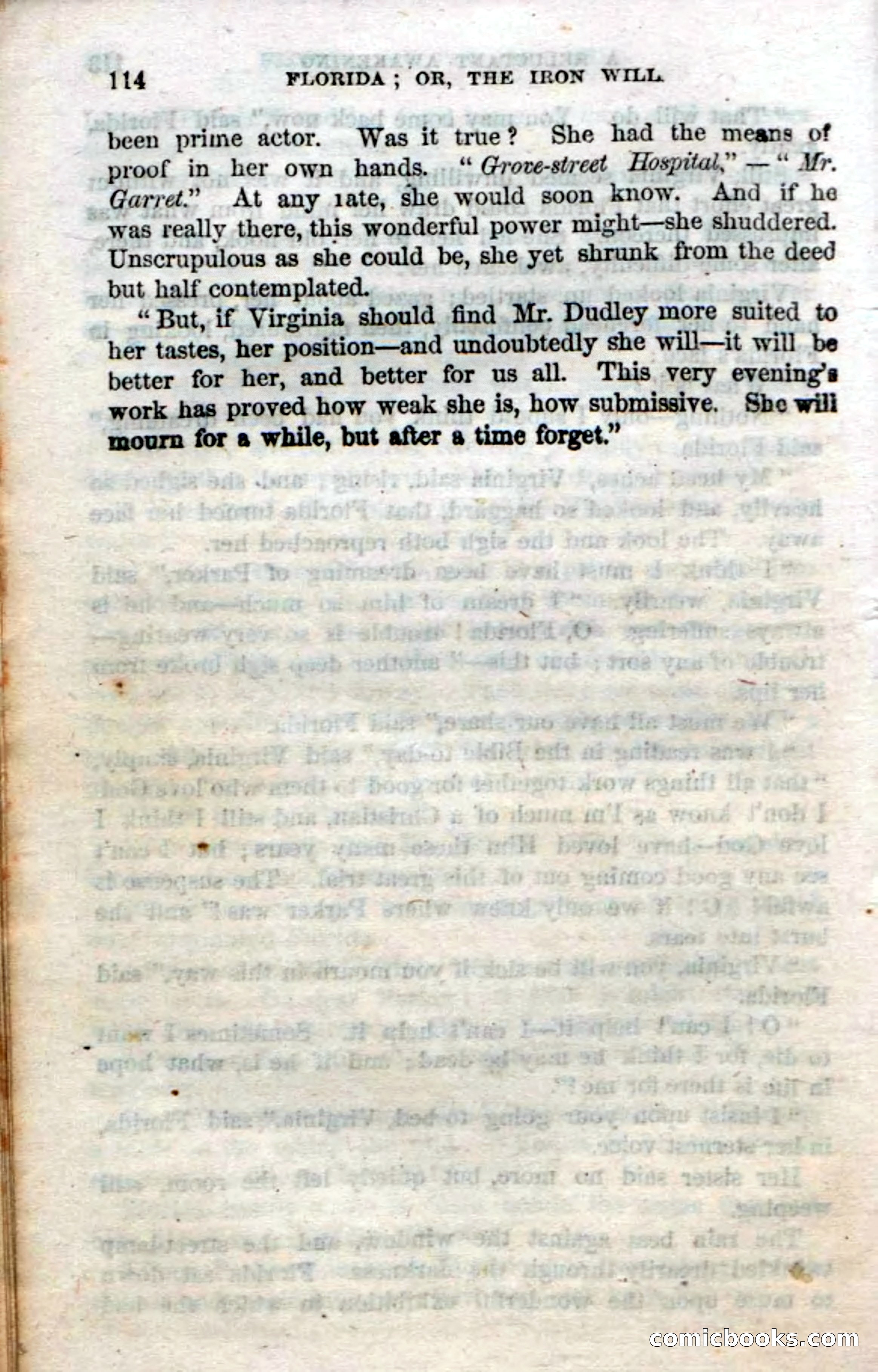 Beadle's Dime Novels No. 20: Florida; or, The Iron Will — page 116 of 130