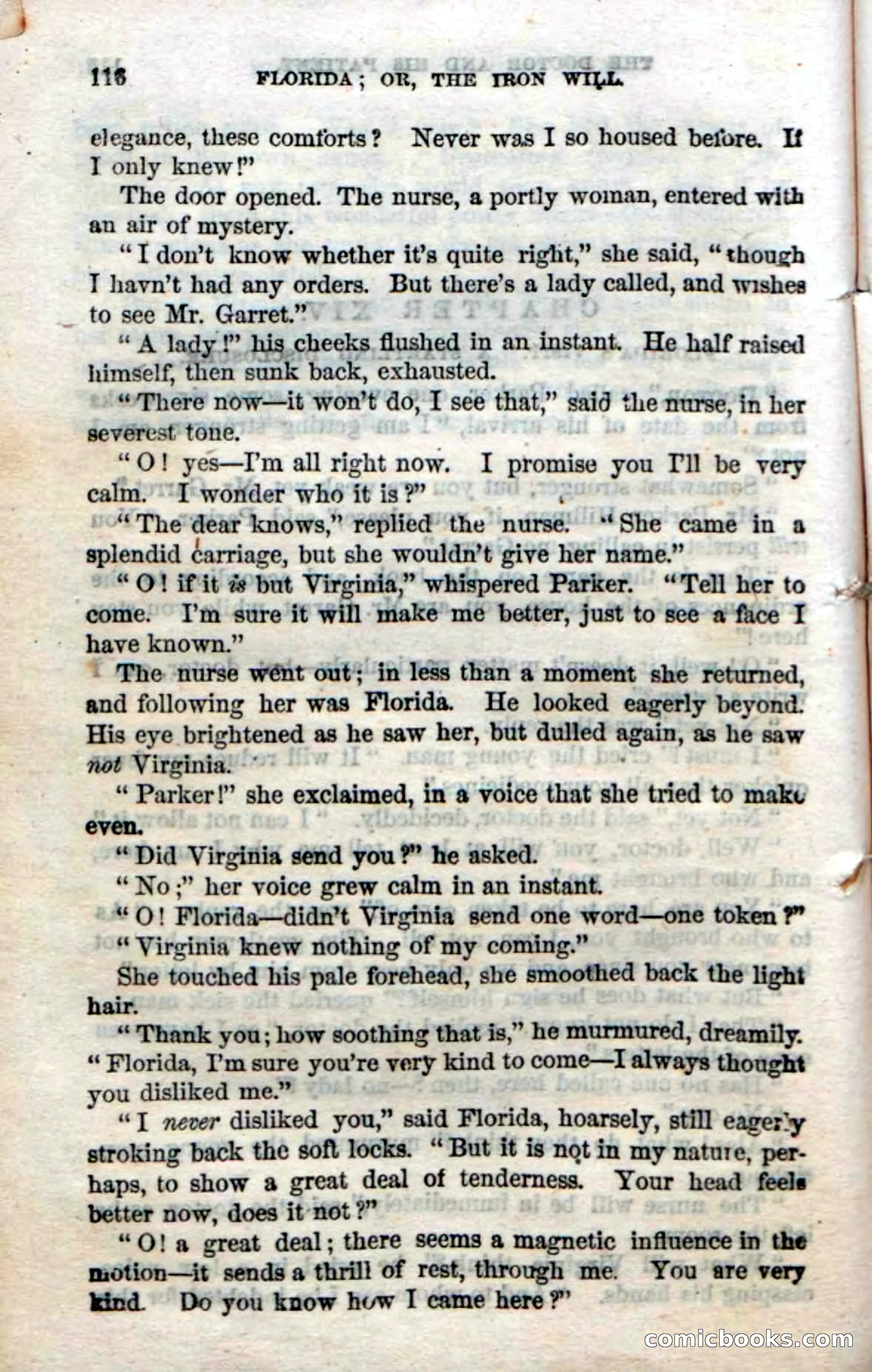 Beadle's Dime Novels No. 20: Florida; or, The Iron Will — page 118 of 130