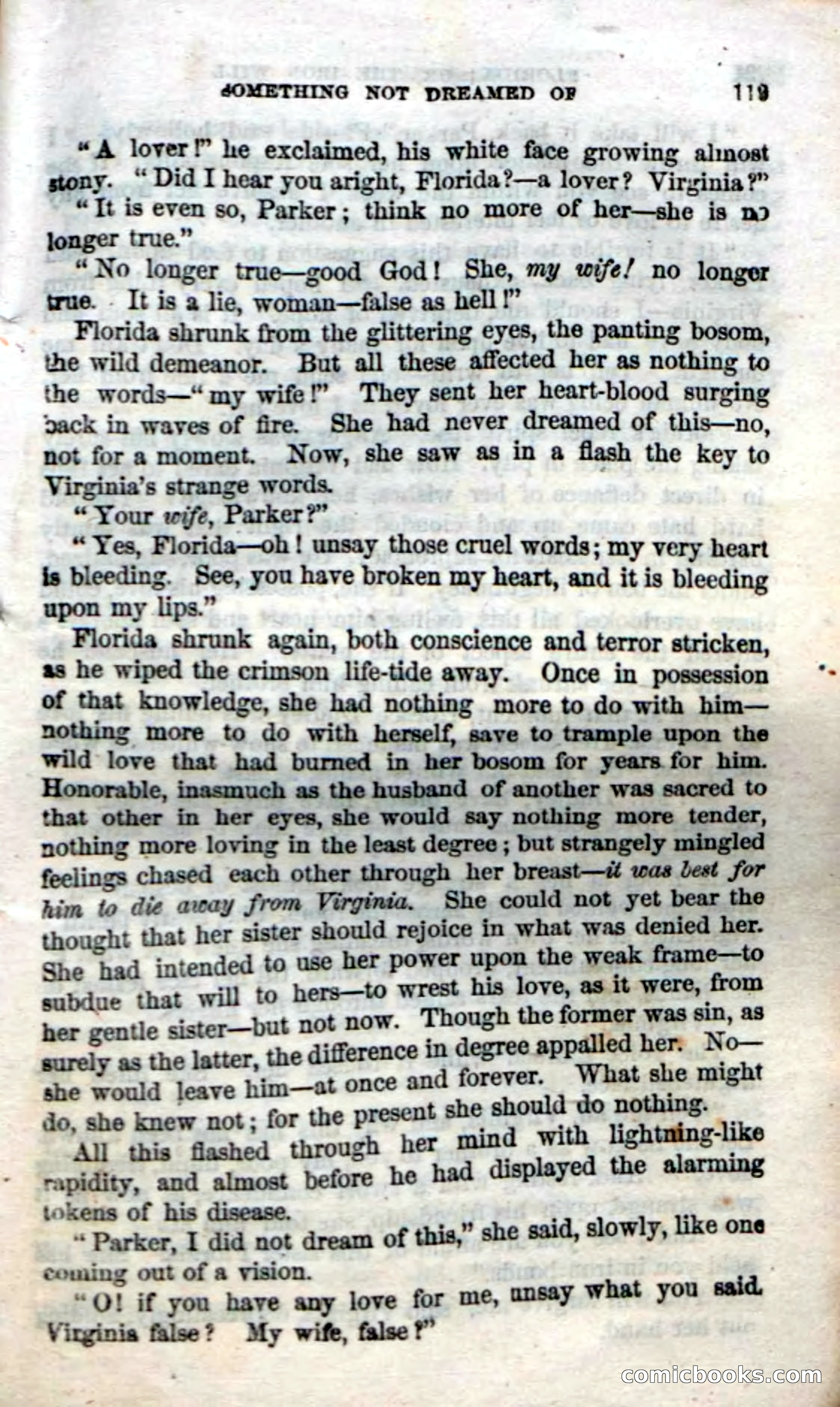 Beadle's Dime Novels No. 20: Florida; or, The Iron Will — page 121 of 130