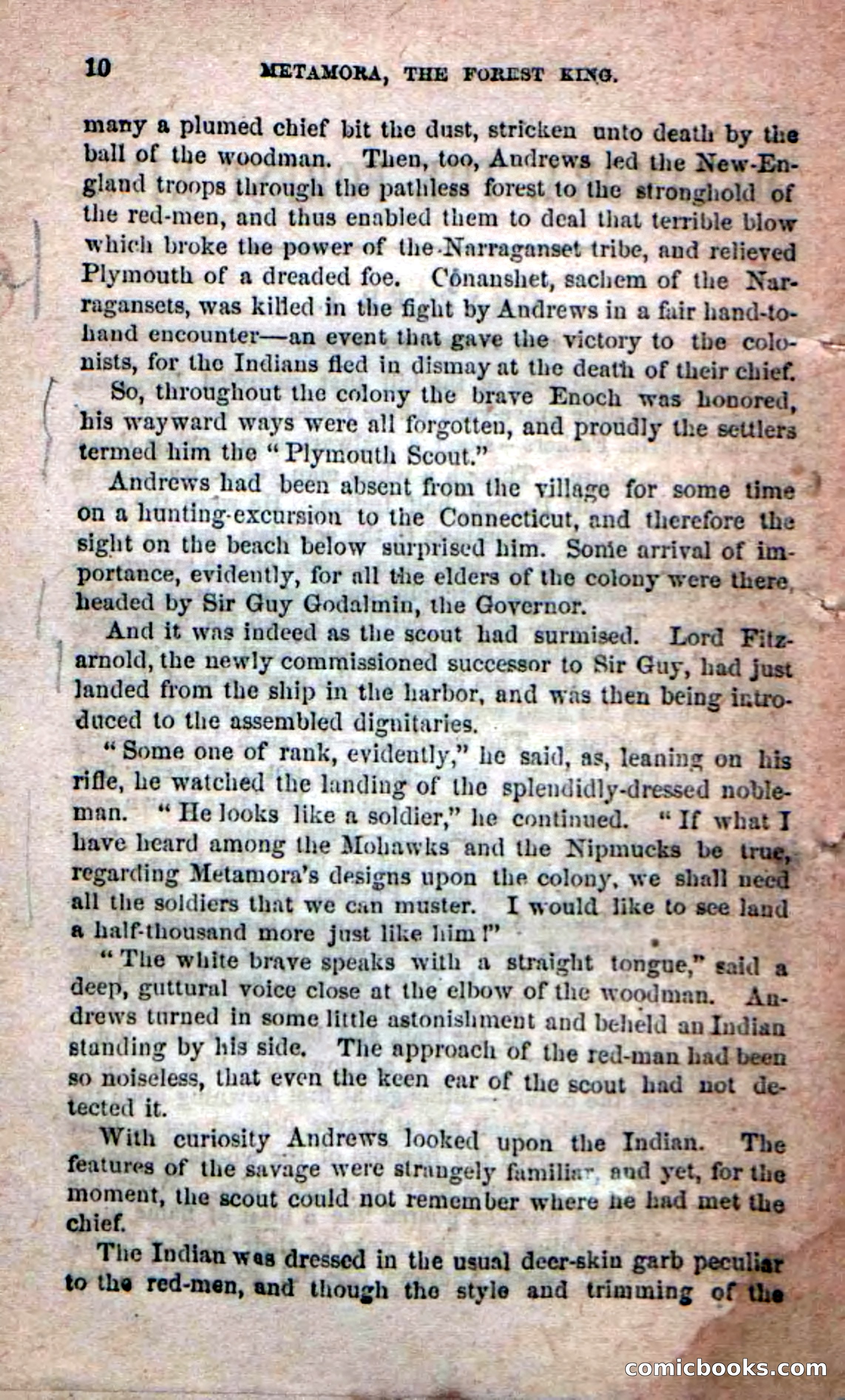 Beadle's Dime Novels No. 204: Metamora; or, The Forest King — page 8: Pulp Fiction, 1870