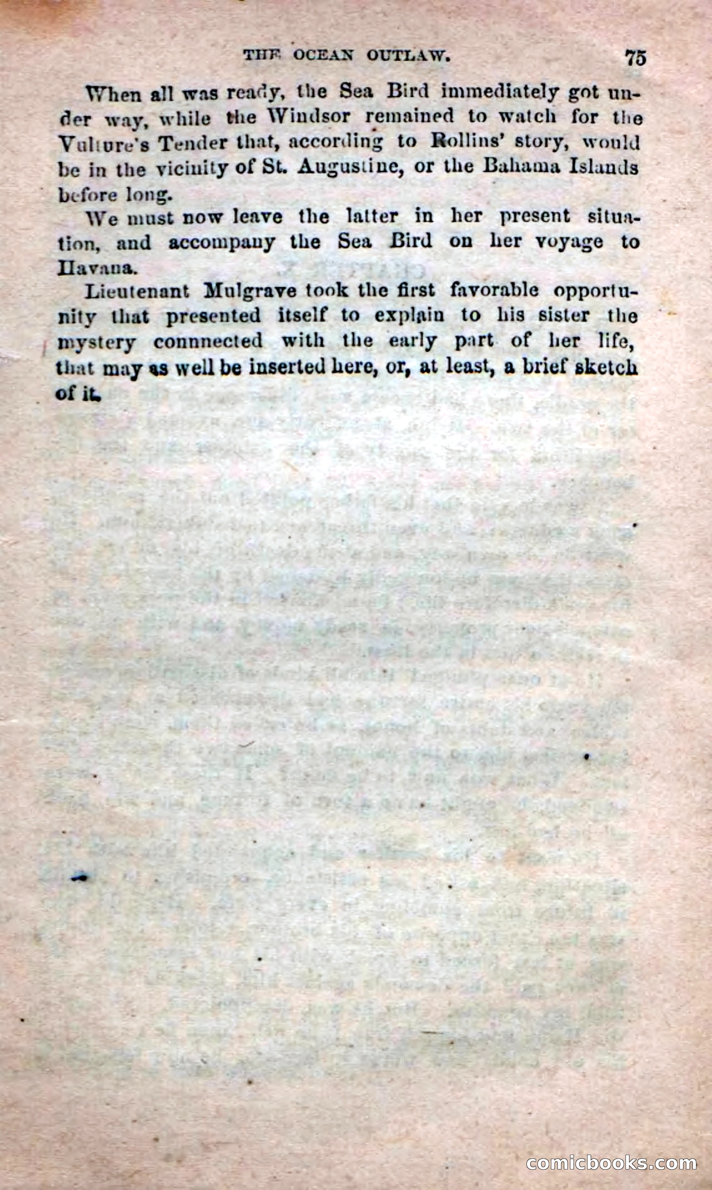 Beadle's Dime Novels No. 208: The Ocean Outlaw — page 73 of 100
