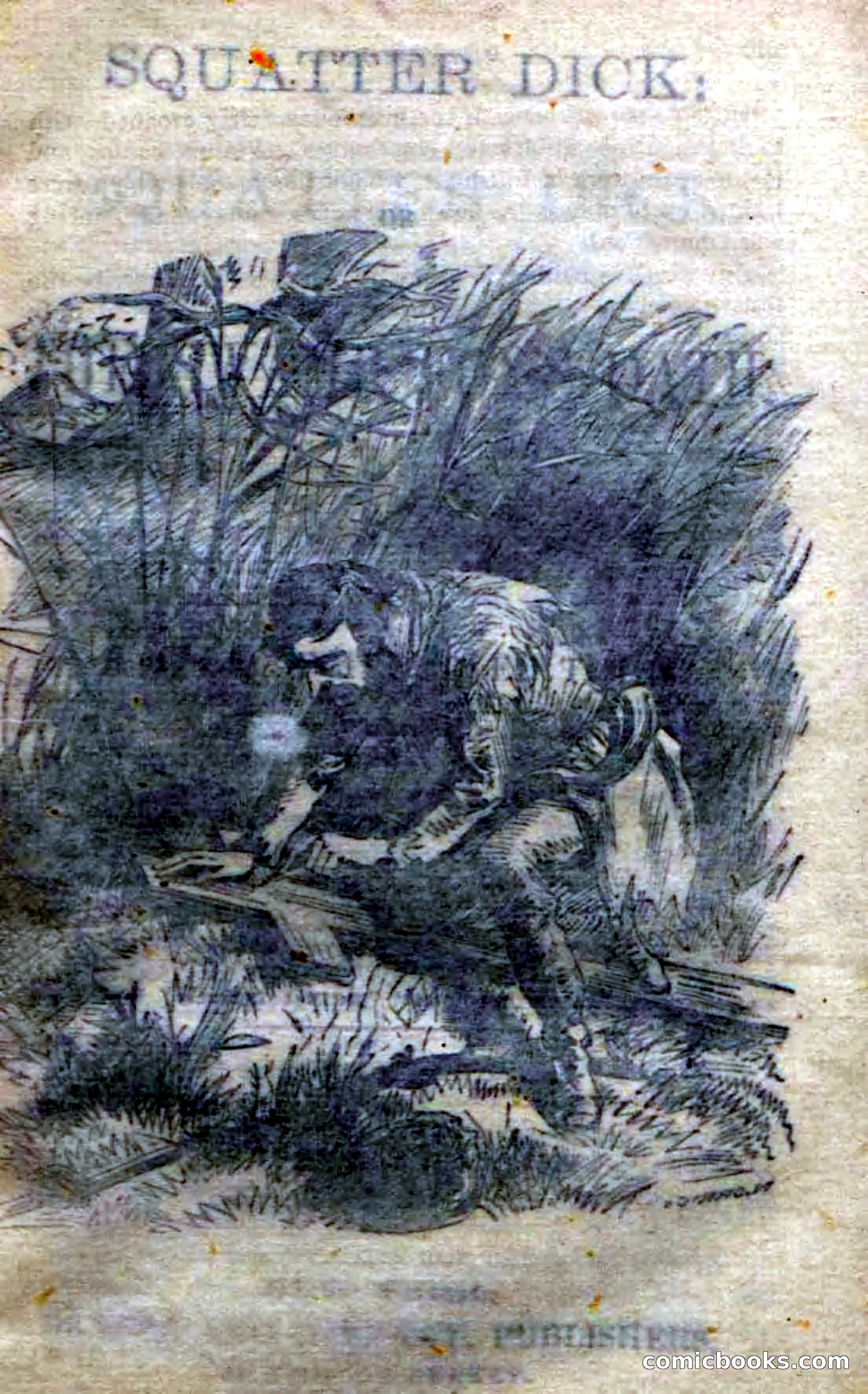 Beadle's Dime Novels No. 213: Squatter Dick — page 3 of 100