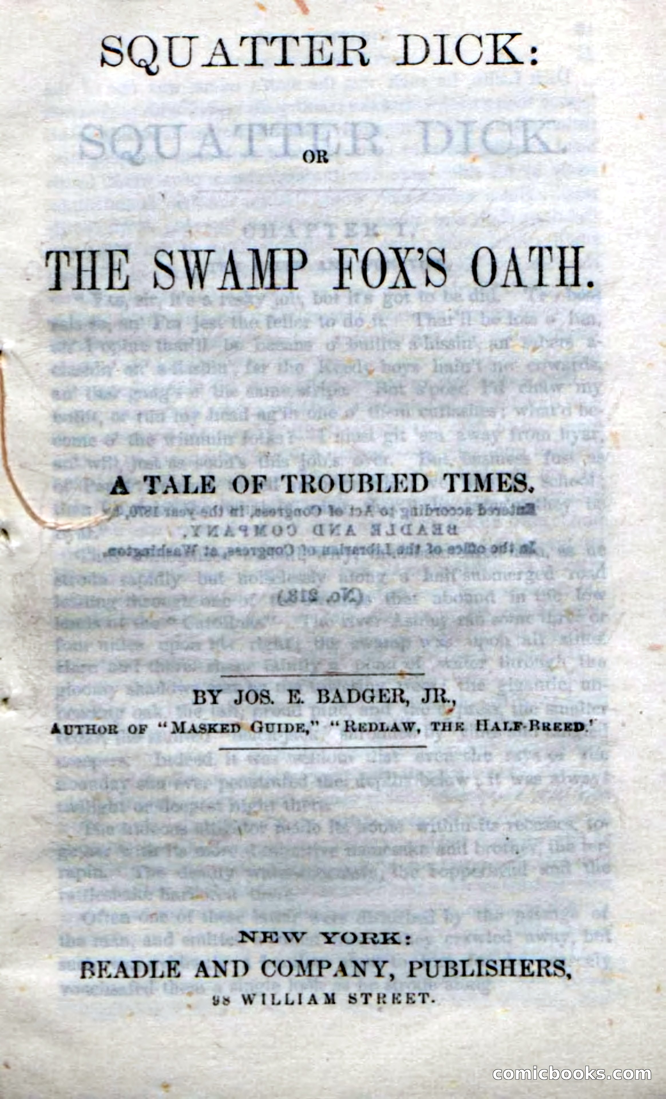 Beadle's Dime Novels No. 213: Squatter Dick — page 5 of 100