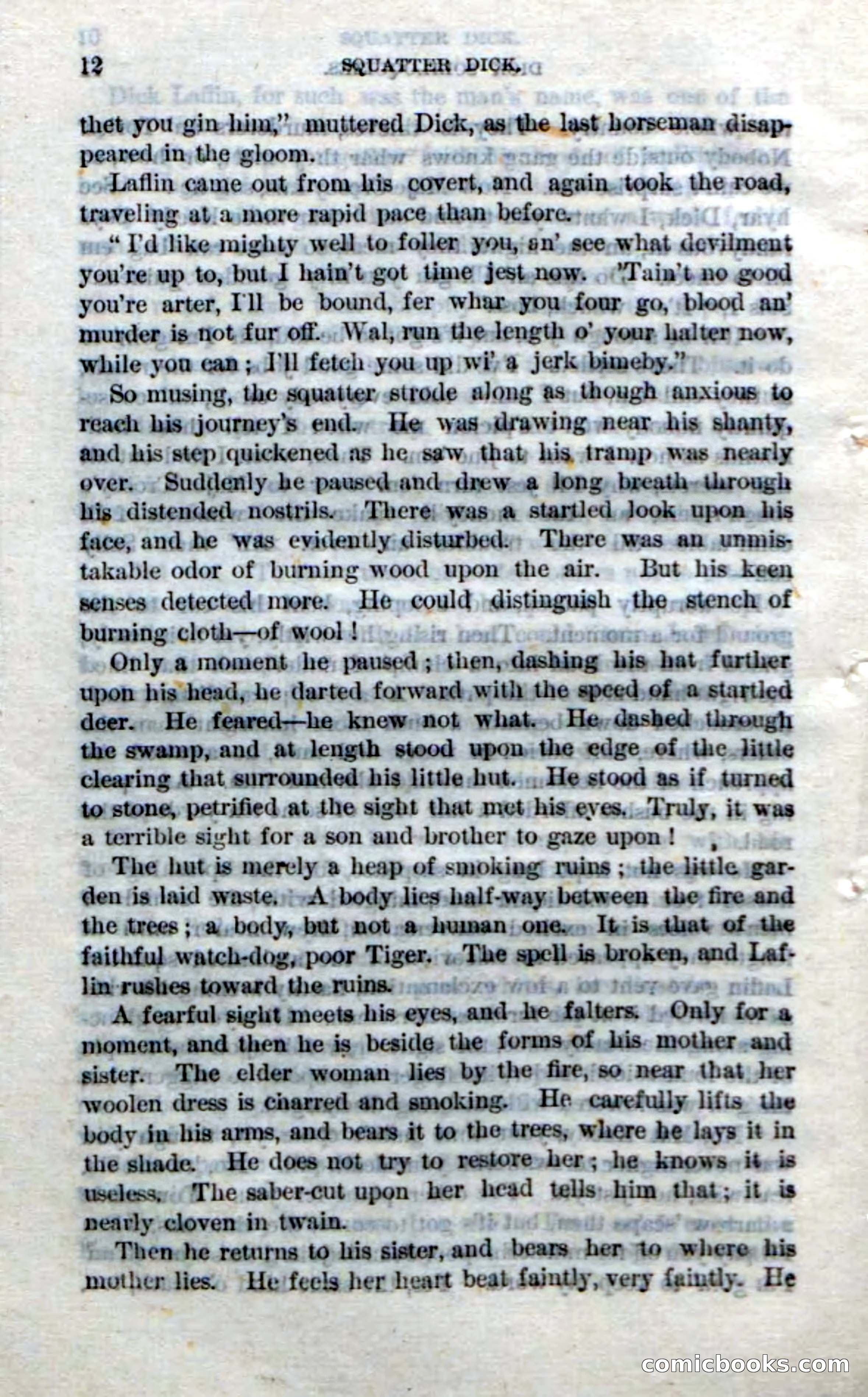 Beadle's Dime Novels No. 213: Squatter Dick — page 10 of 100
