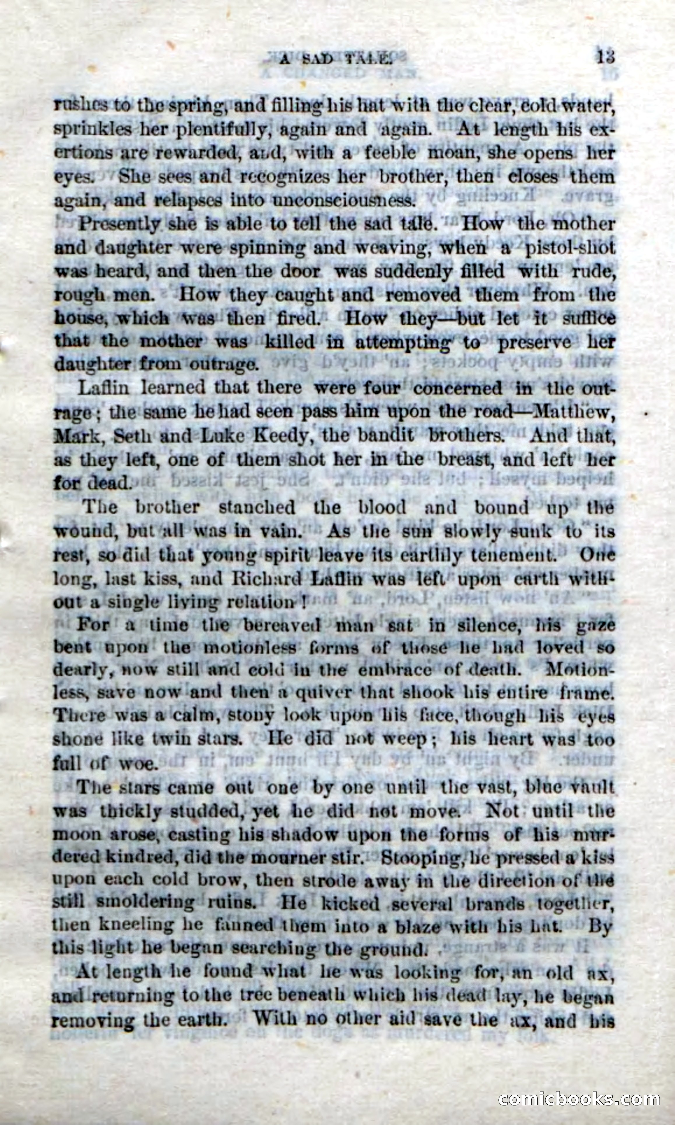 Beadle's Dime Novels No. 213: Squatter Dick — page 11 of 100