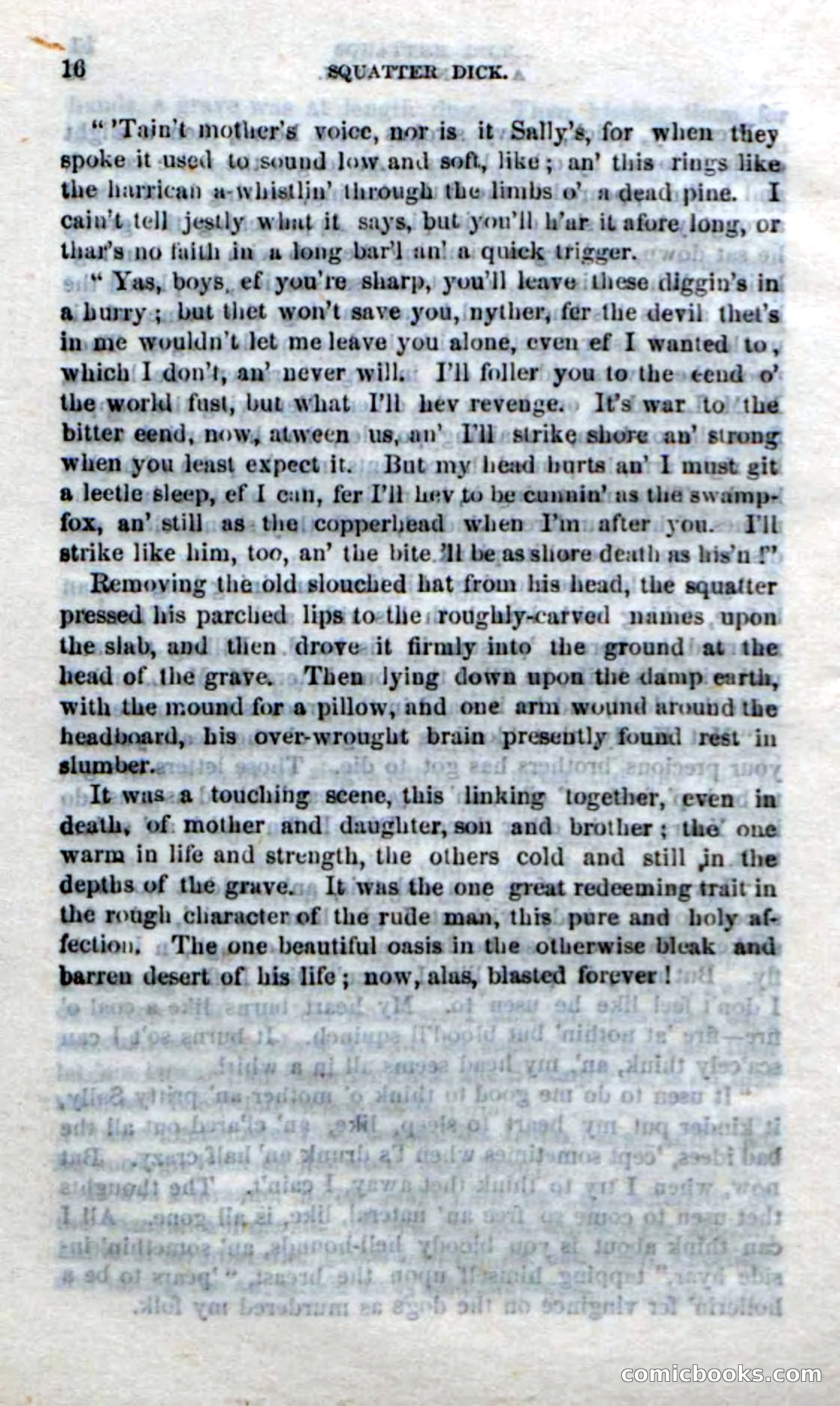Beadle's Dime Novels No. 213: Squatter Dick — page 14 of 100