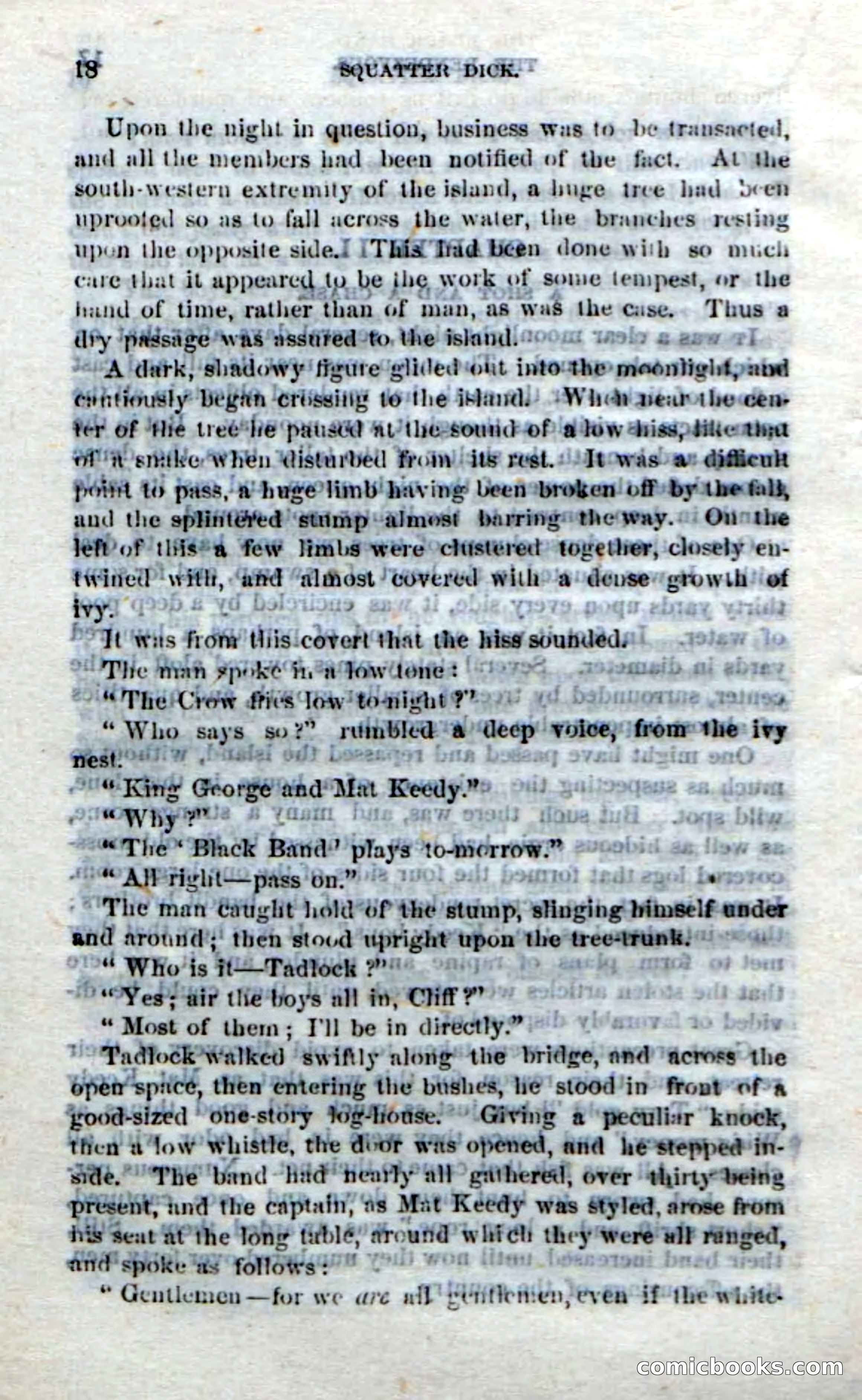 Beadle's Dime Novels No. 213: Squatter Dick — page 16 of 100