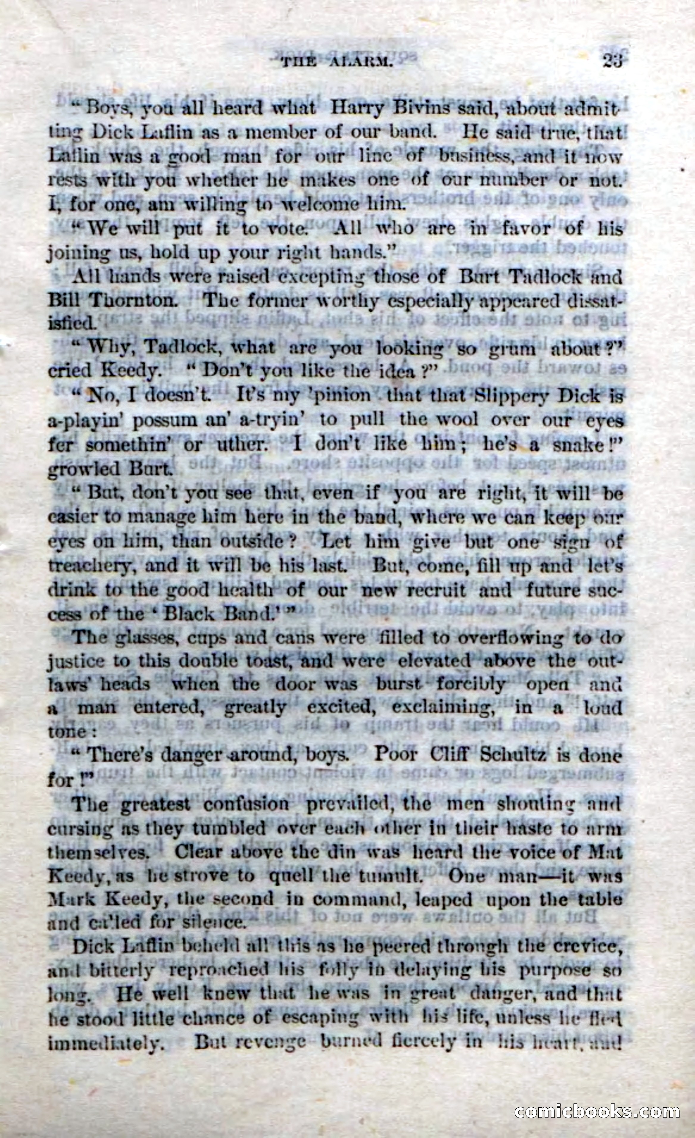Beadle's Dime Novels No. 213: Squatter Dick — page 21 of 100