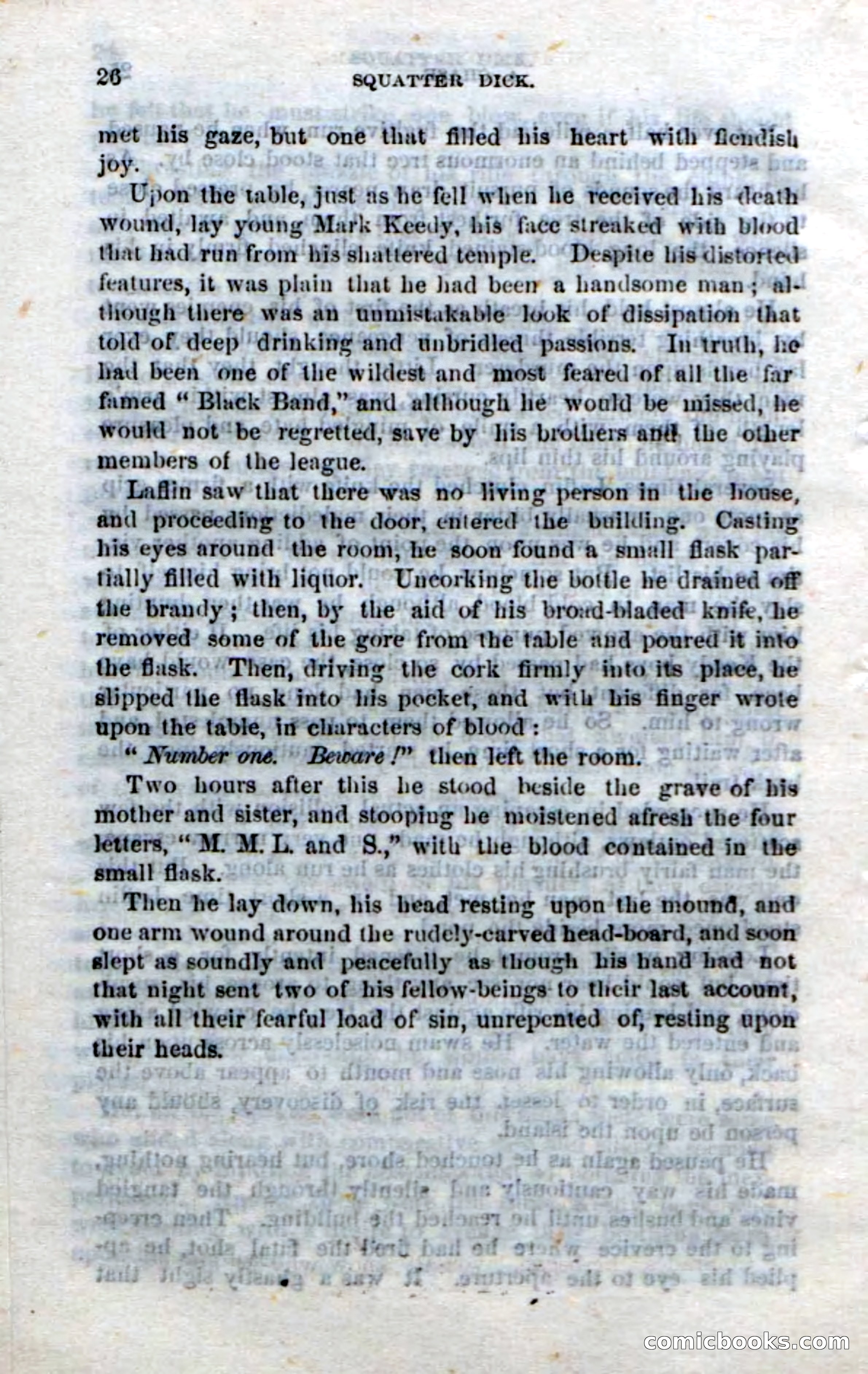 Beadle's Dime Novels No. 213: Squatter Dick — page 24 of 100