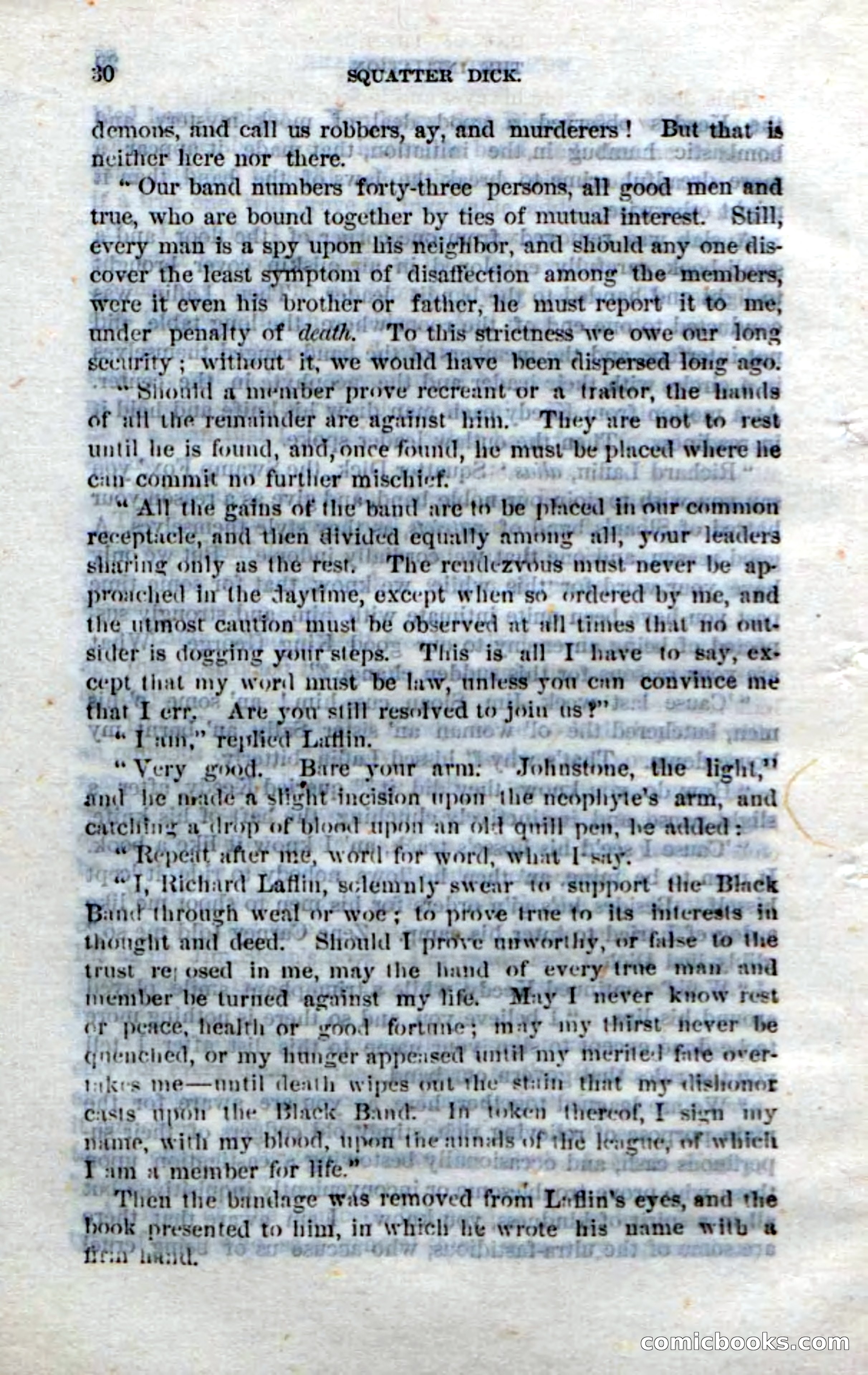 Beadle's Dime Novels No. 213: Squatter Dick — page 28 of 100