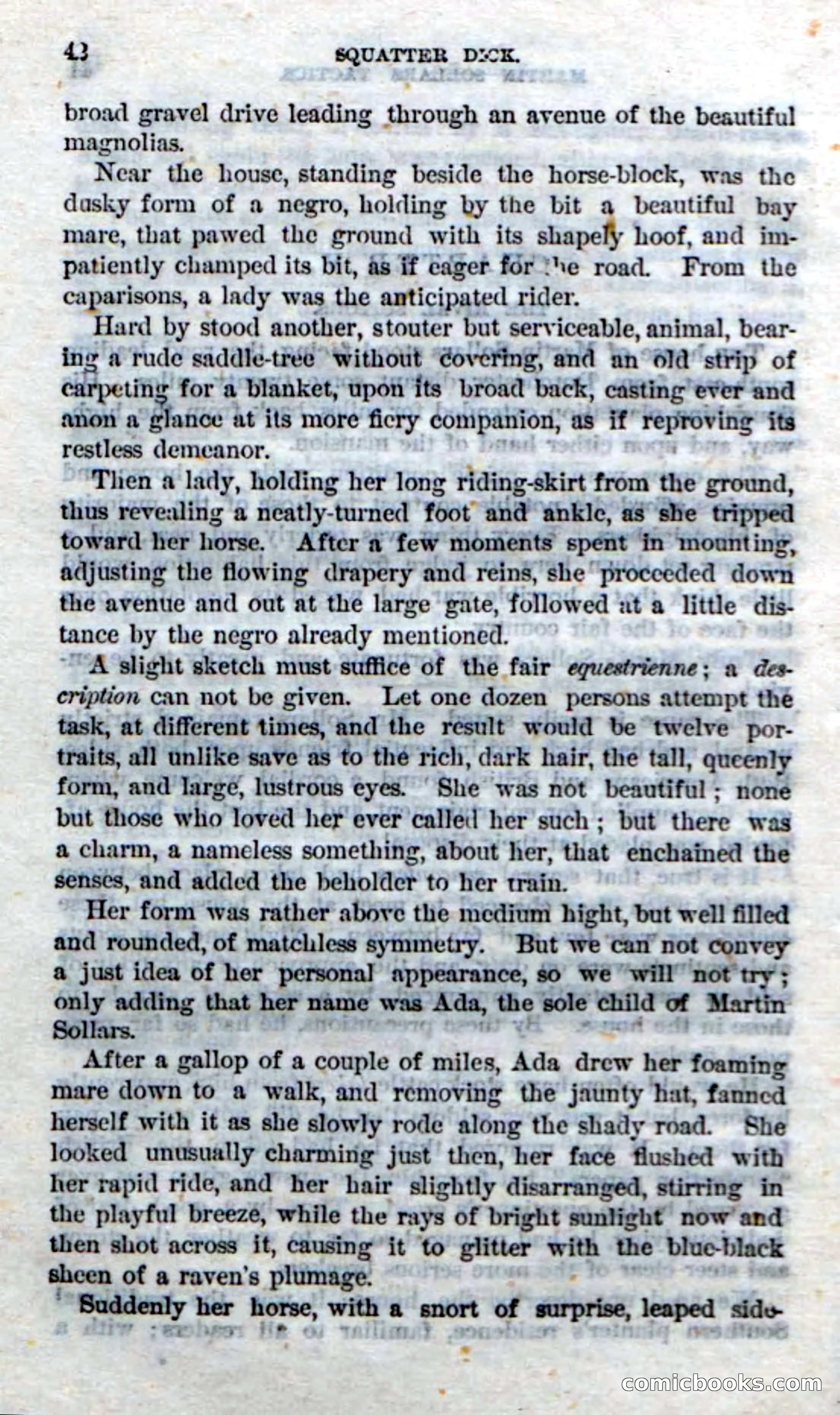 Beadle's Dime Novels No. 213: Squatter Dick — page 40 of 100