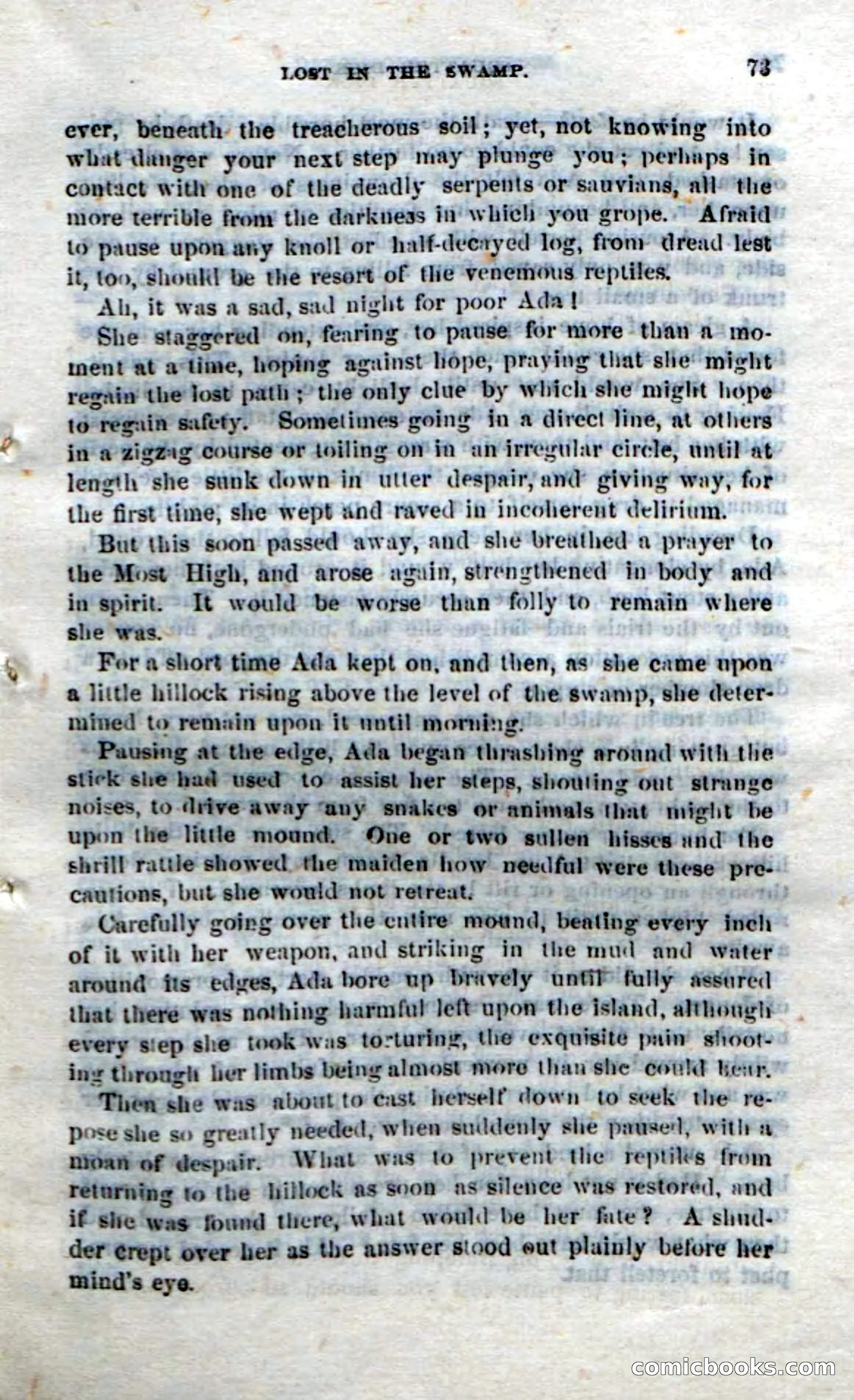 Beadle's Dime Novels No. 213: Squatter Dick — page 71 of 100