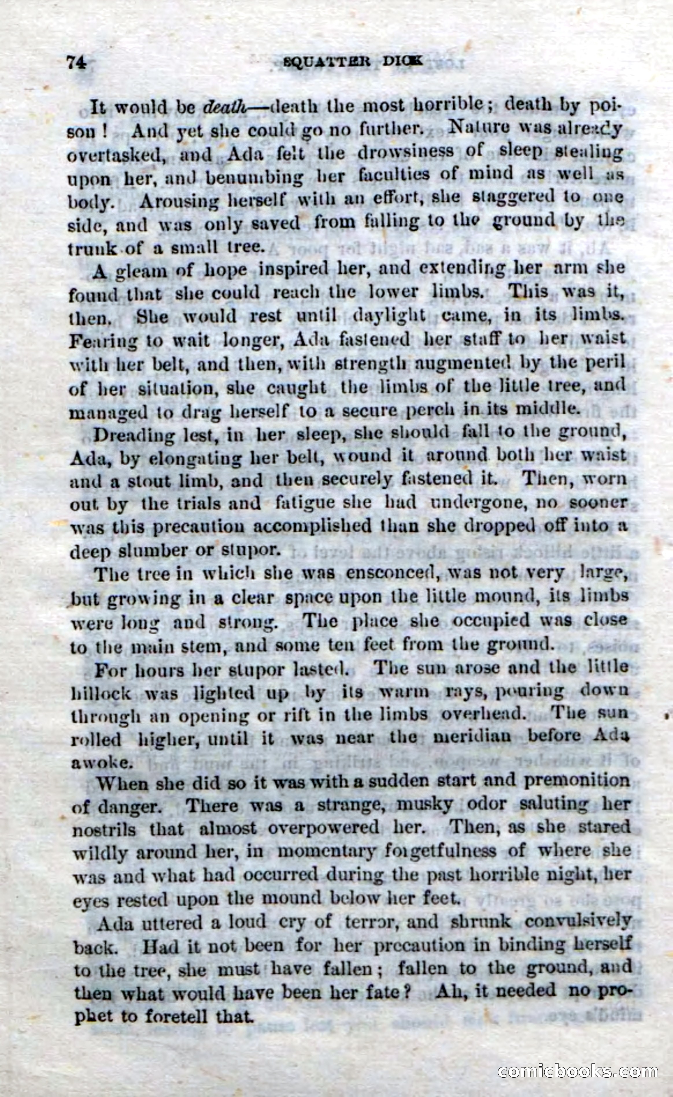 Beadle's Dime Novels No. 213: Squatter Dick — page 72 of 100