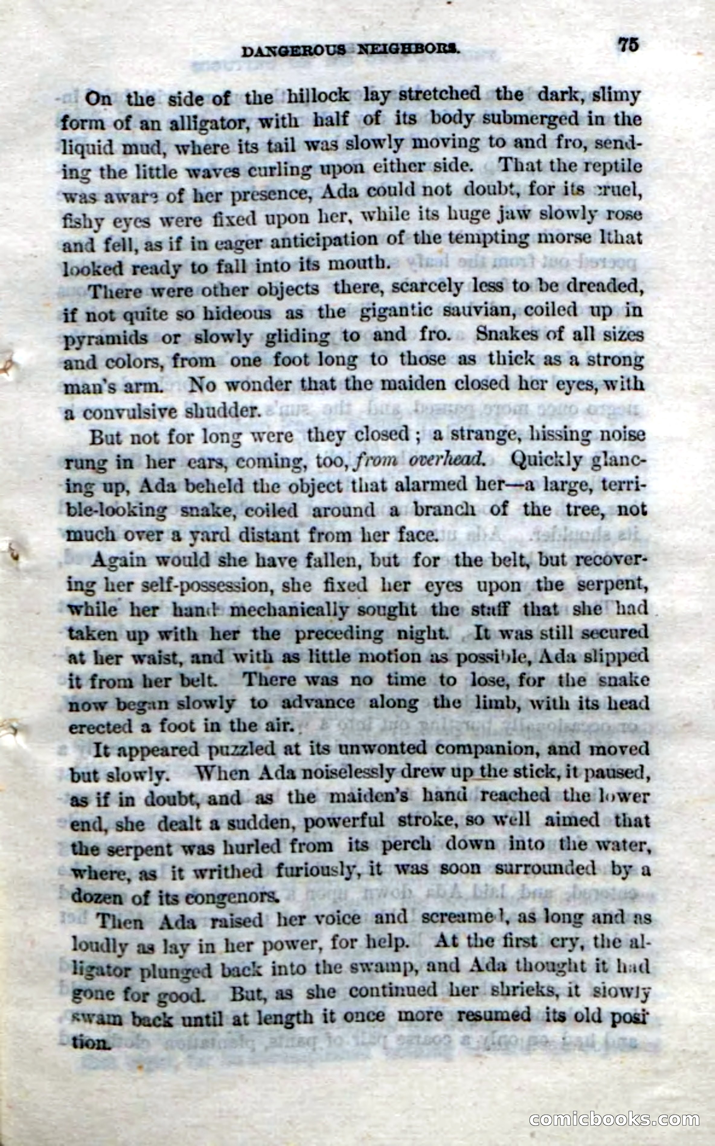 Beadle's Dime Novels No. 213: Squatter Dick — page 73 of 100
