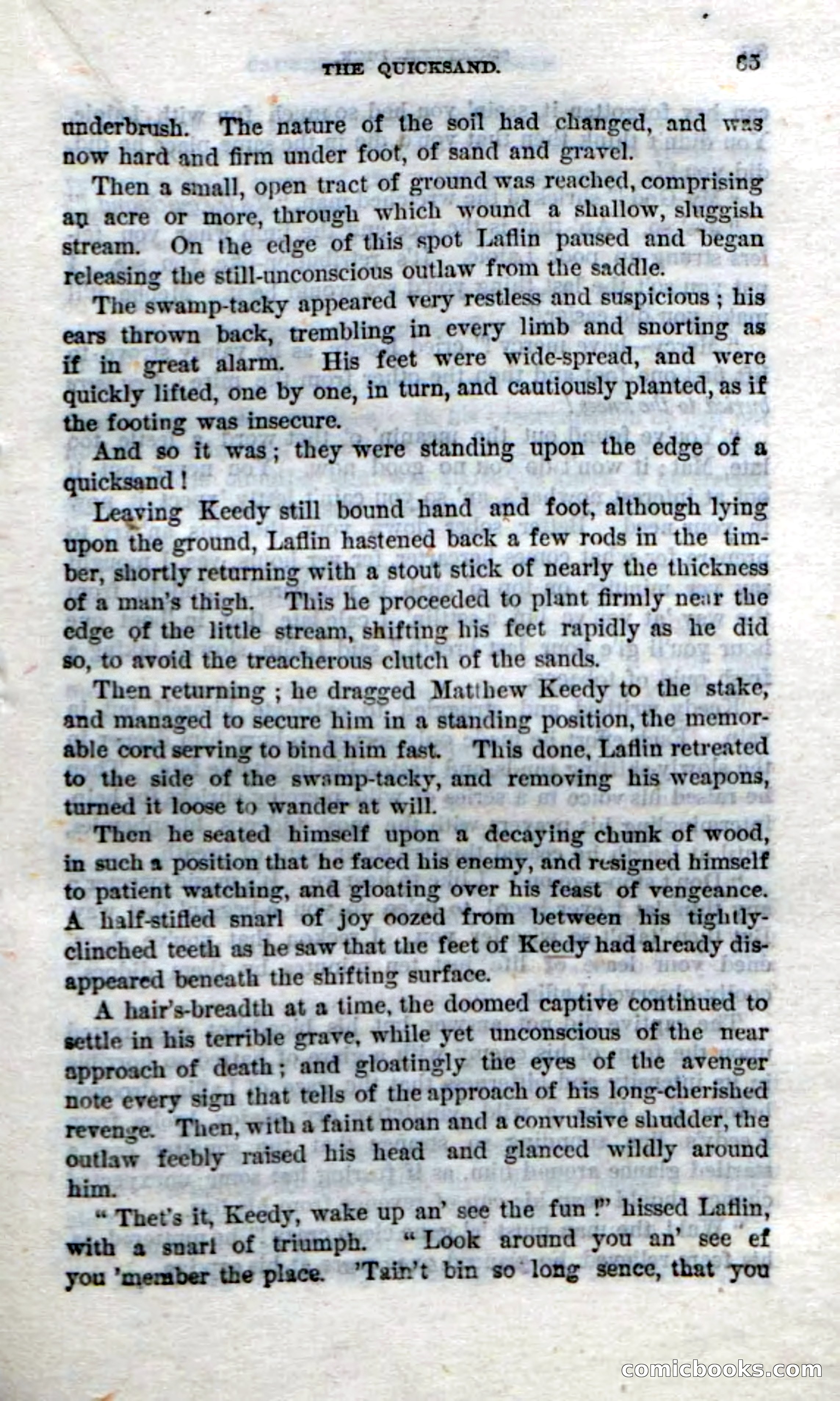 Beadle's Dime Novels No. 213: Squatter Dick — page 83 of 100