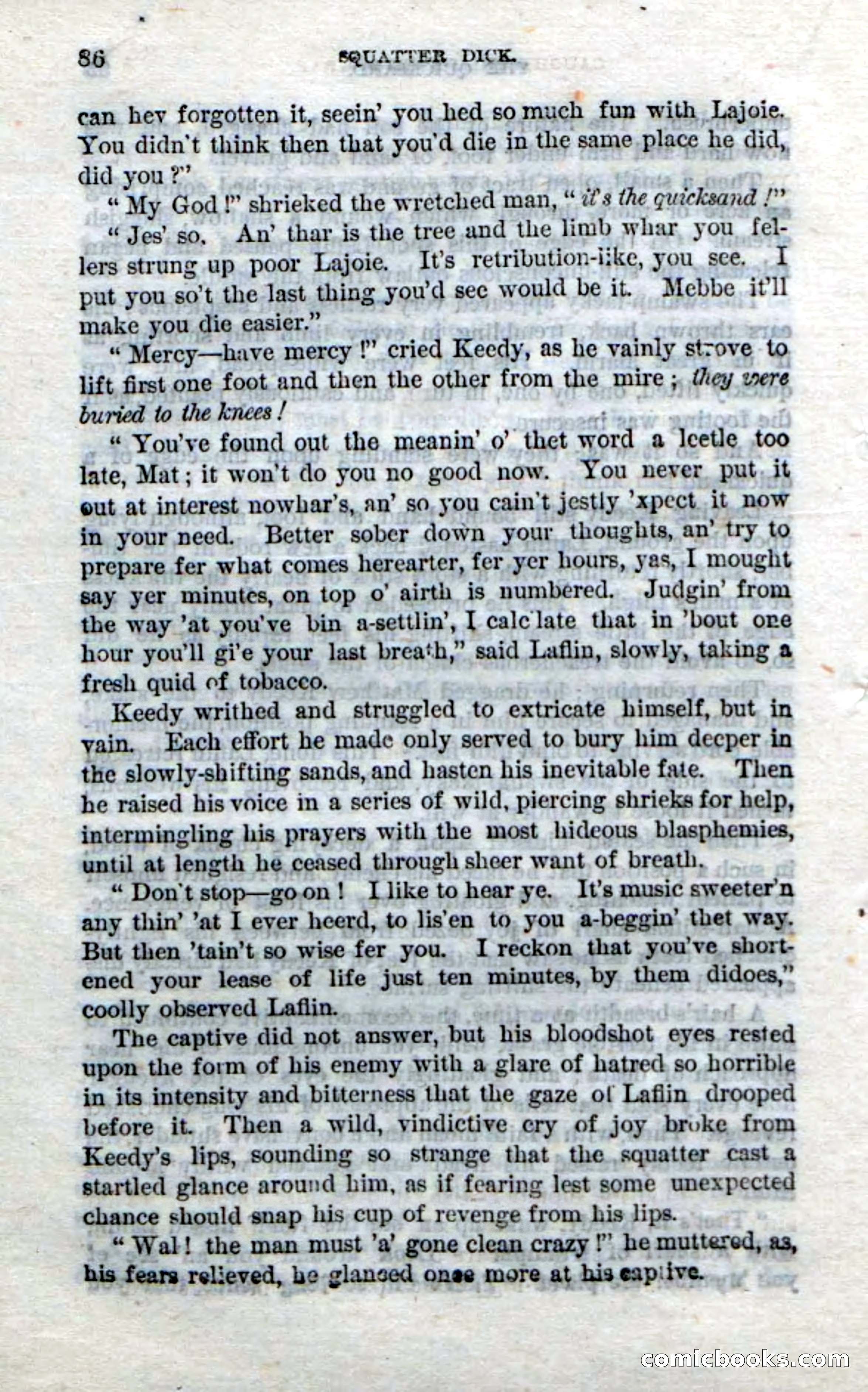 Beadle's Dime Novels No. 213: Squatter Dick — page 84 of 100