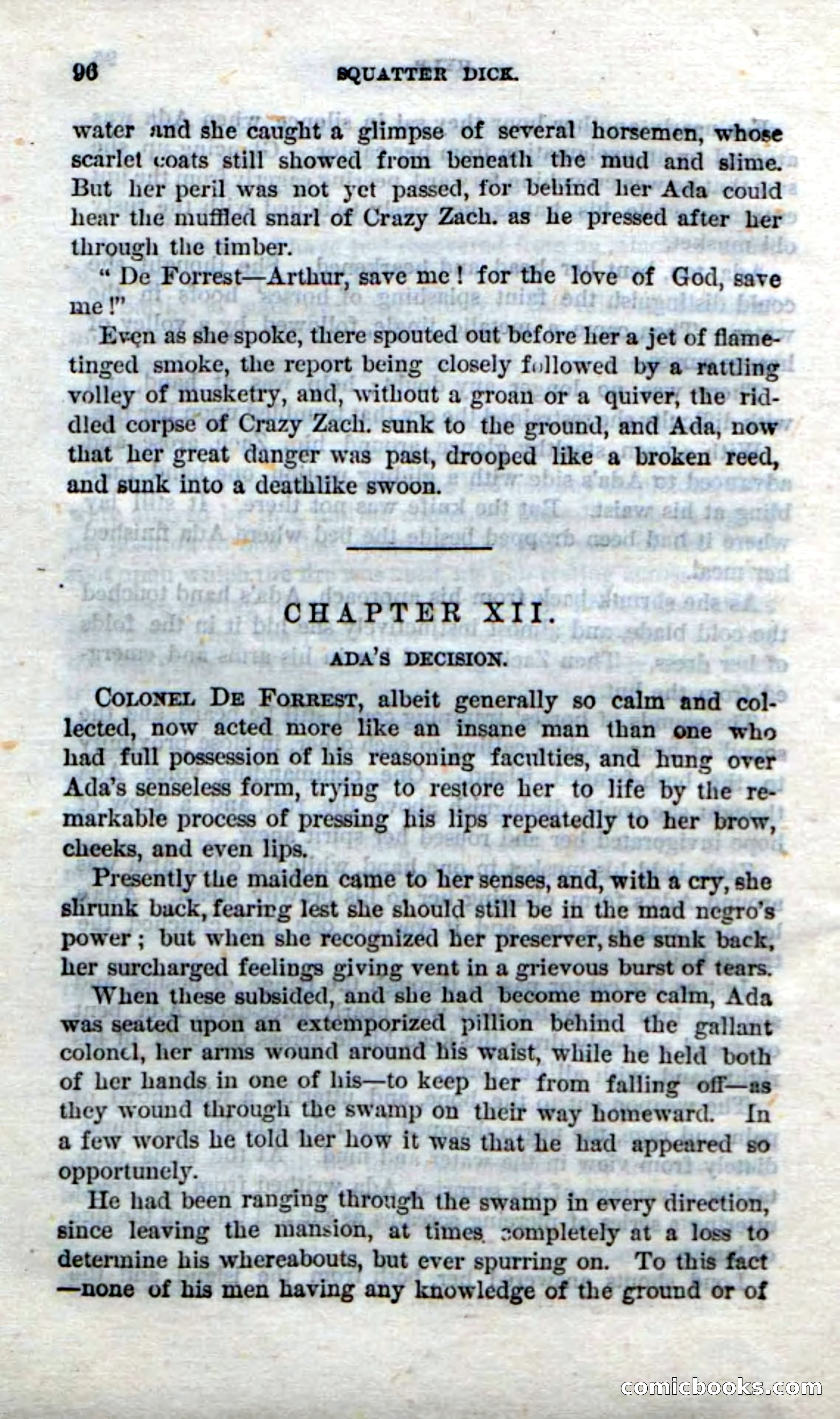 Beadle's Dime Novels No. 213: Squatter Dick — page 94 of 100