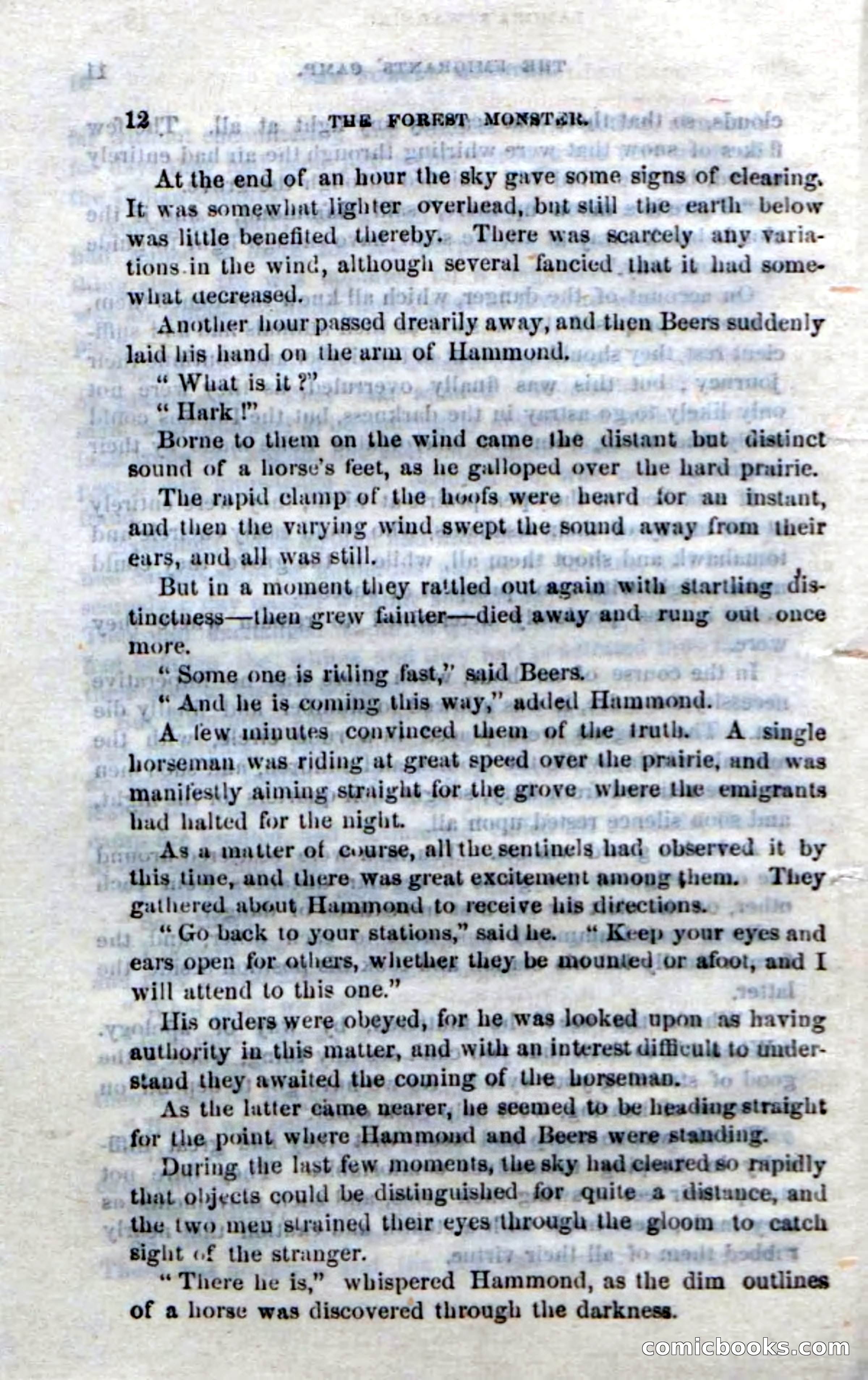 Beadle's Dime Novels No. 214: The Forest Monster — page 10 of 100