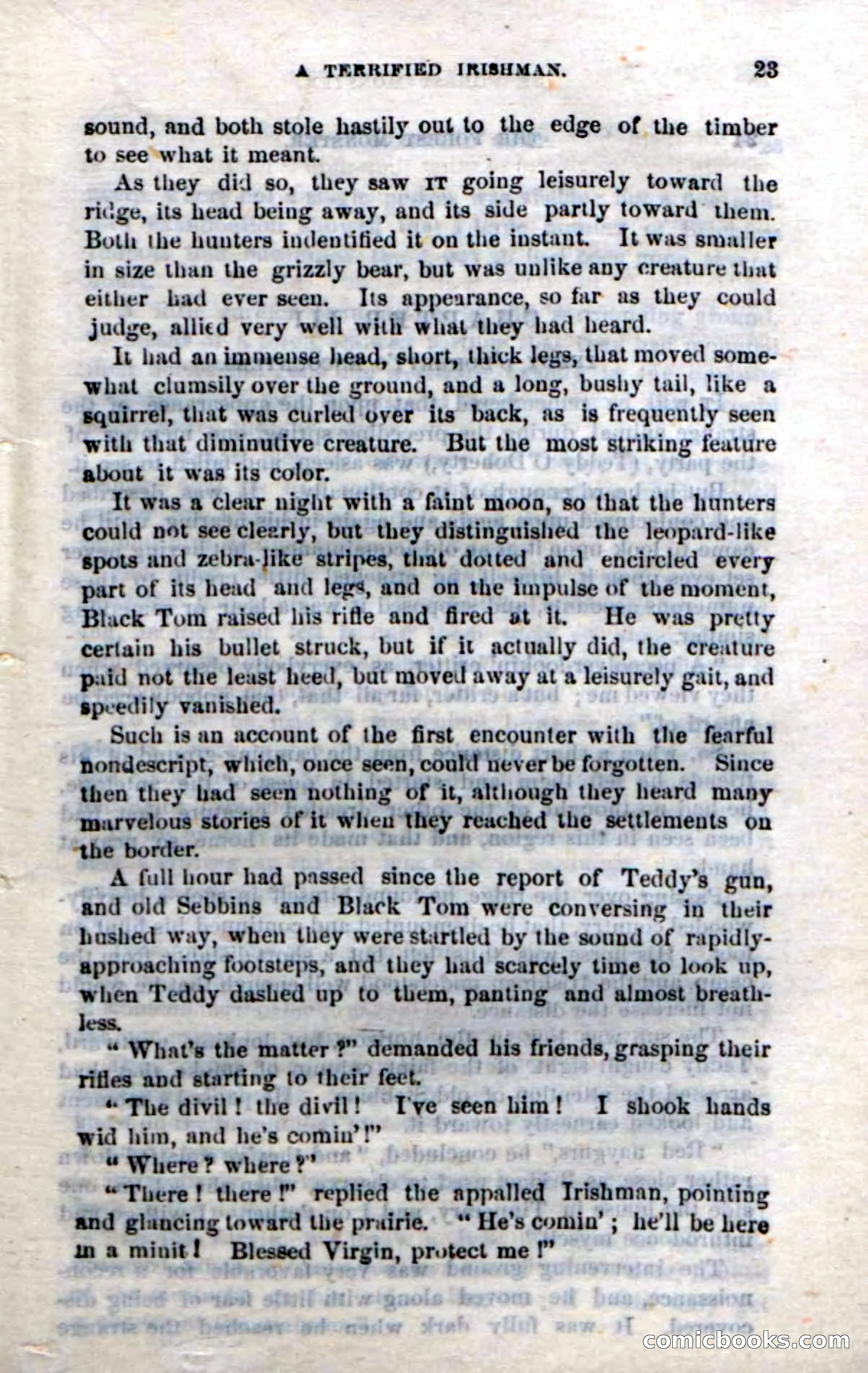 Beadle's Dime Novels No. 214: The Forest Monster — page 21 of 100