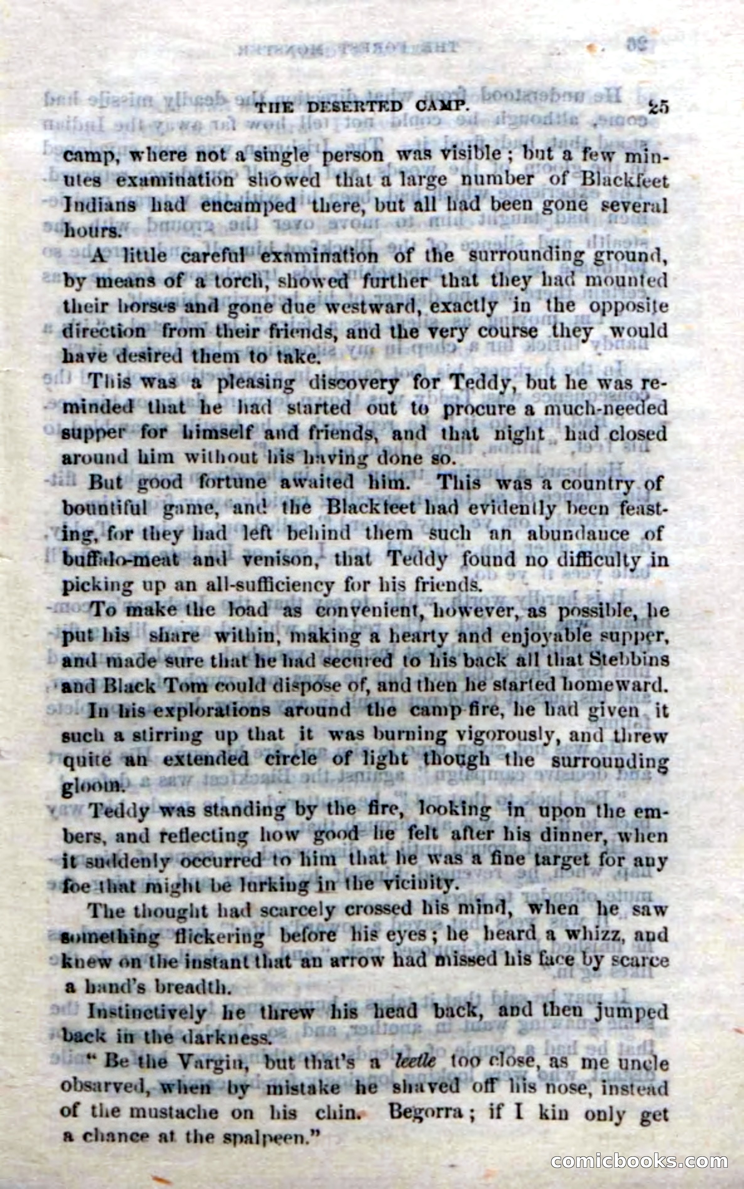 Beadle's Dime Novels No. 214: The Forest Monster — page 23 of 100