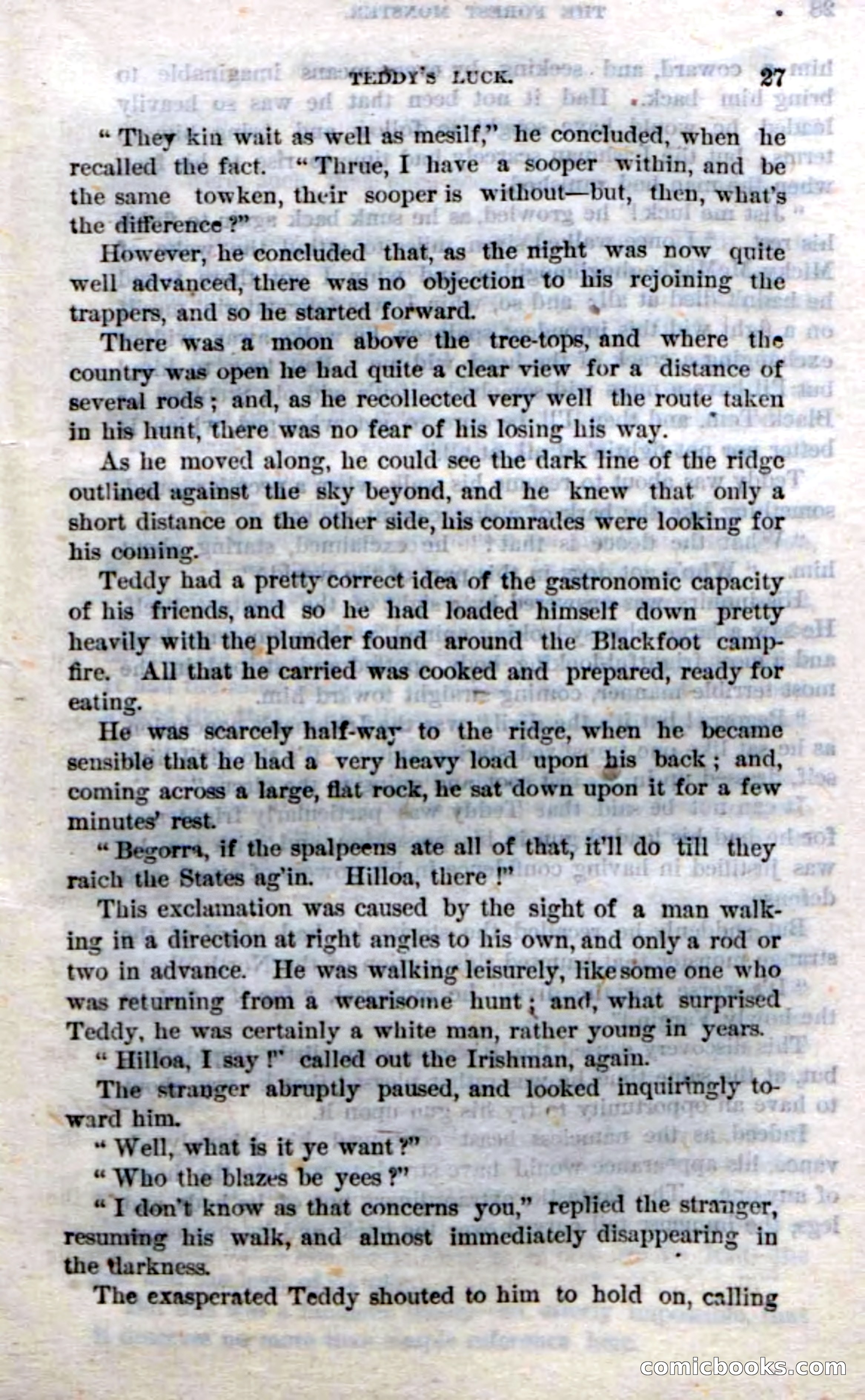 Beadle's Dime Novels No. 214: The Forest Monster — page 25 of 100