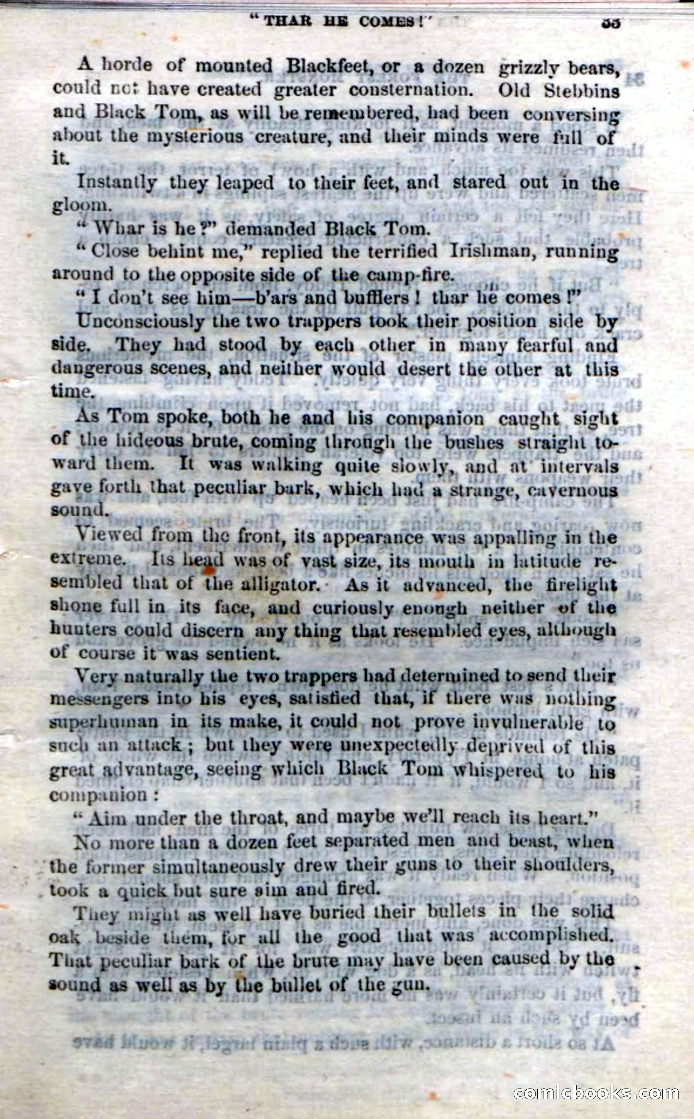 Beadle's Dime Novels No. 214: The Forest Monster — page 31 of 100